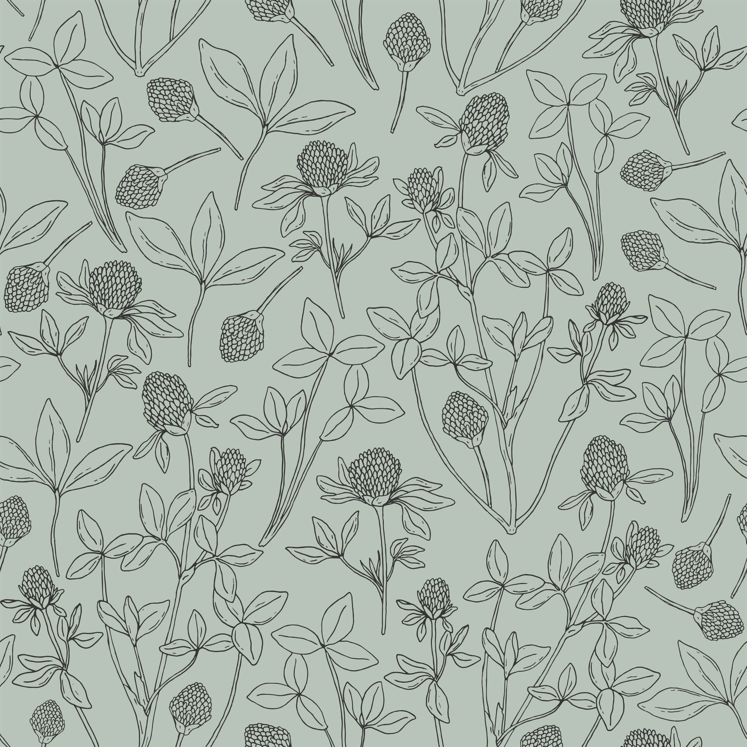 Clover