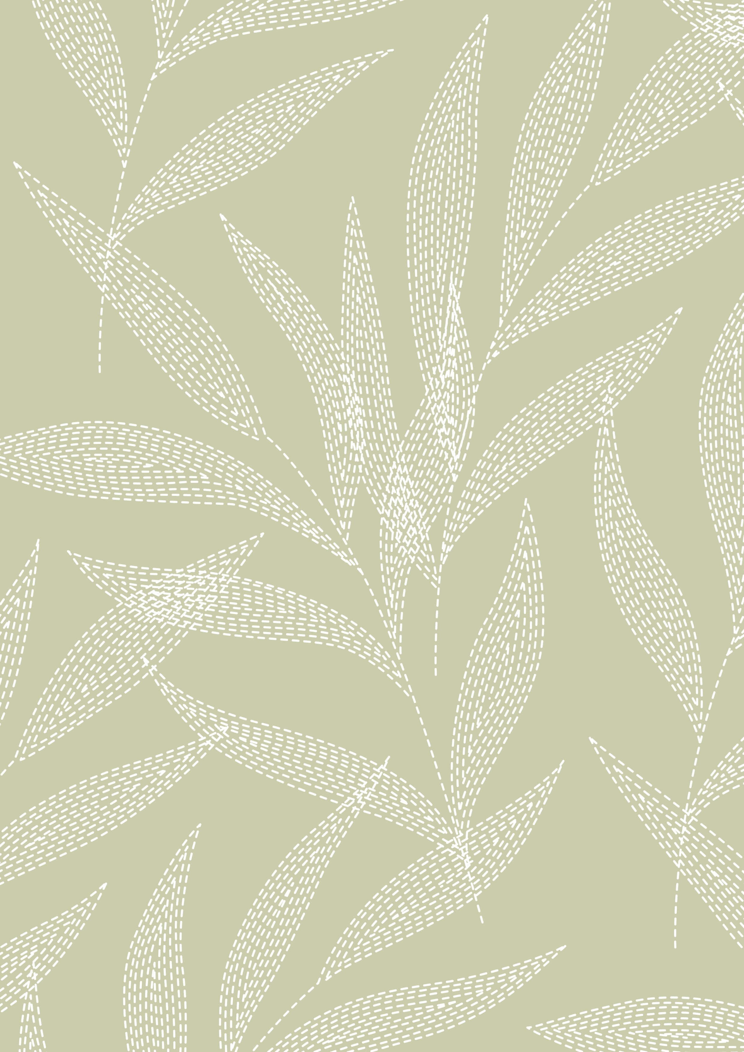Ivory Palm