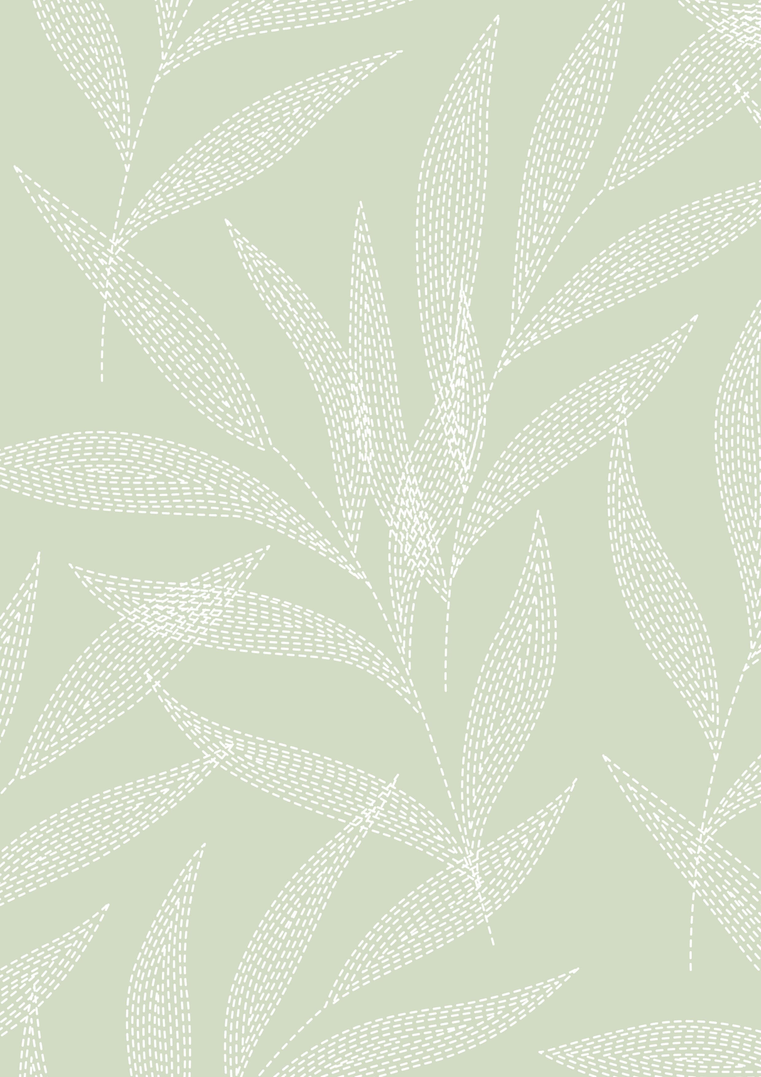 Ivory Palm
