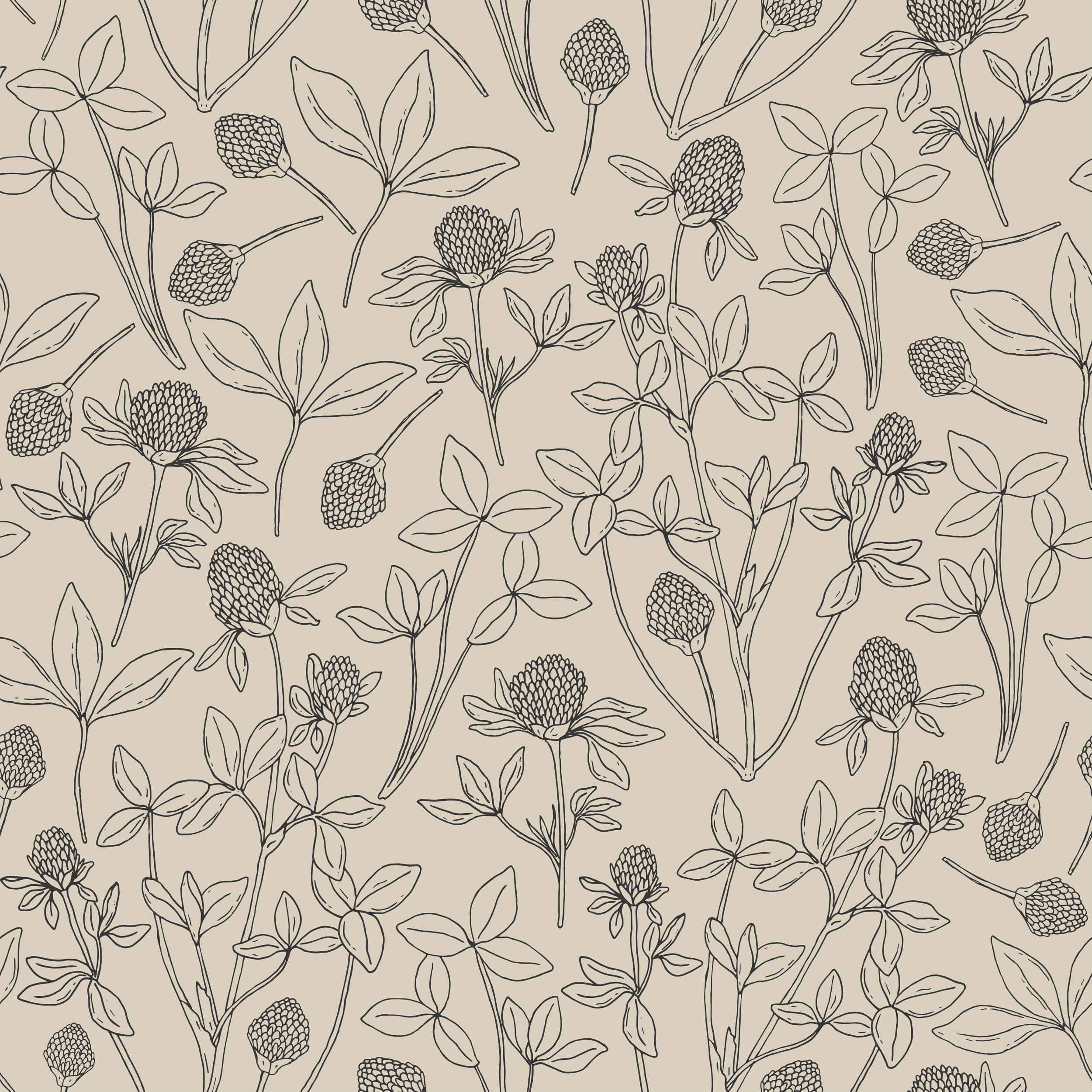 Clover