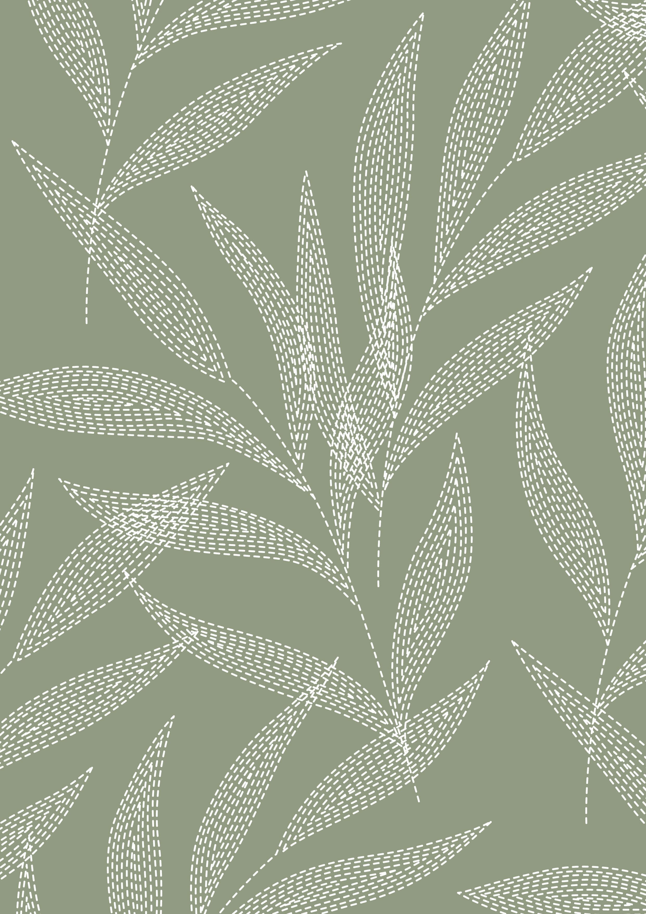 Ivory Palm