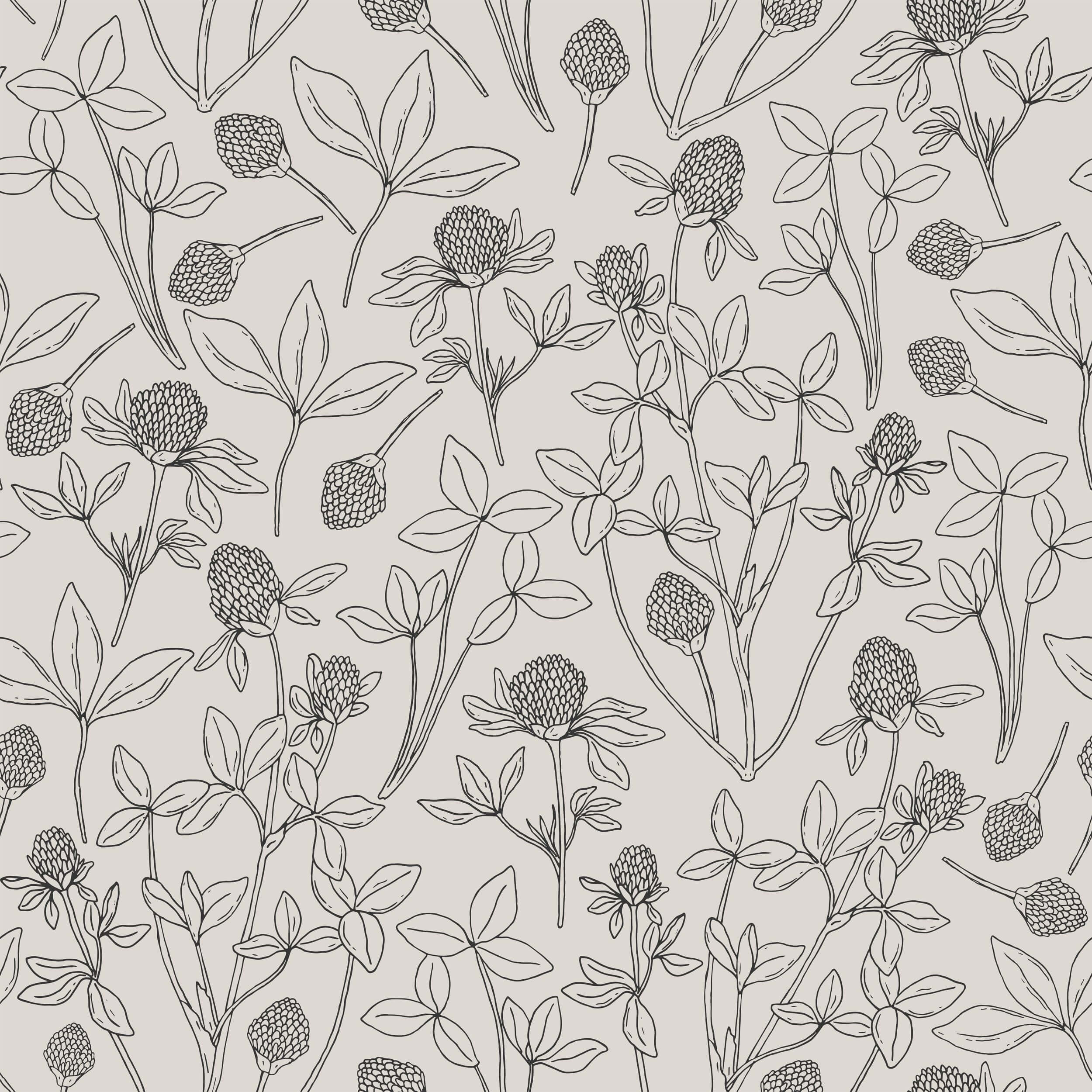 Clover