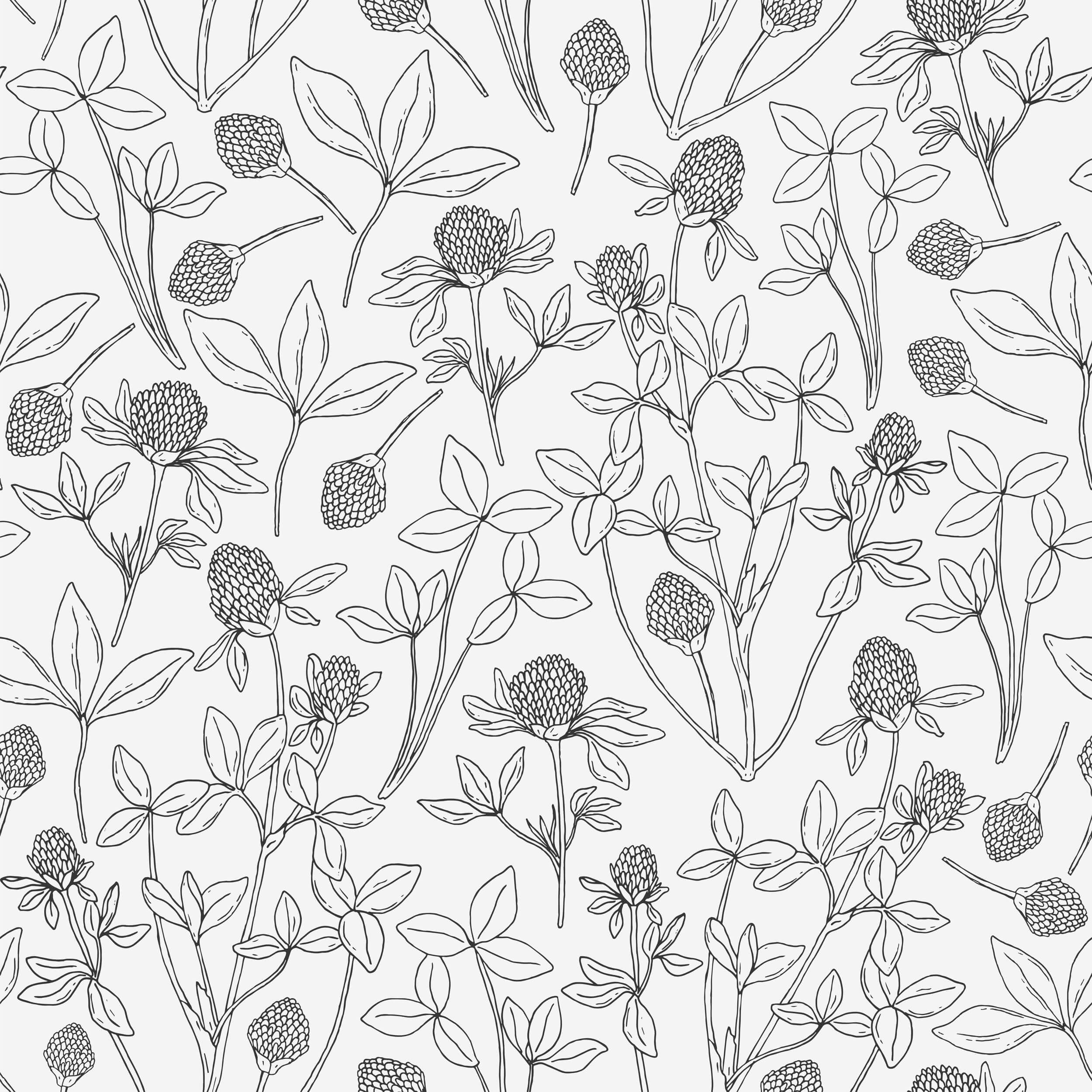 Clover