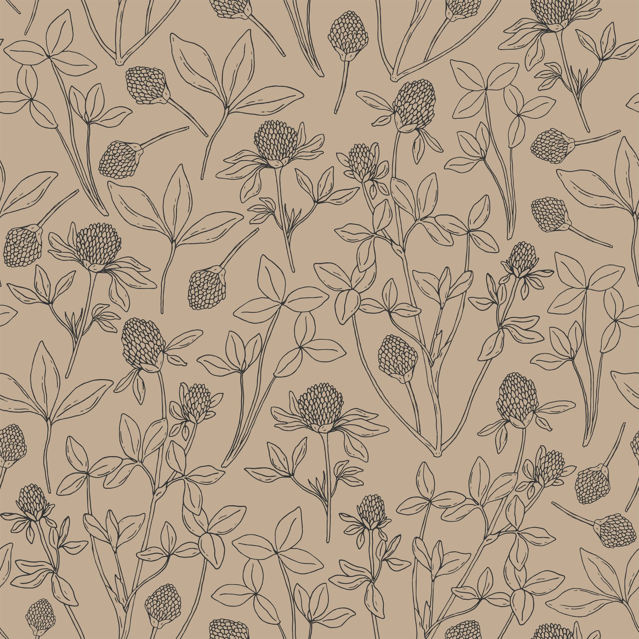 Clover
