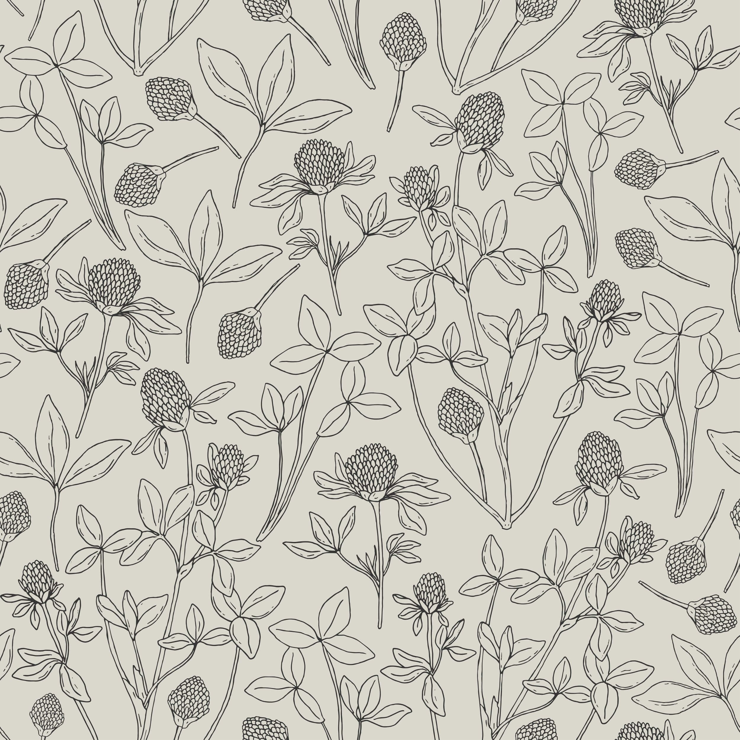 Clover