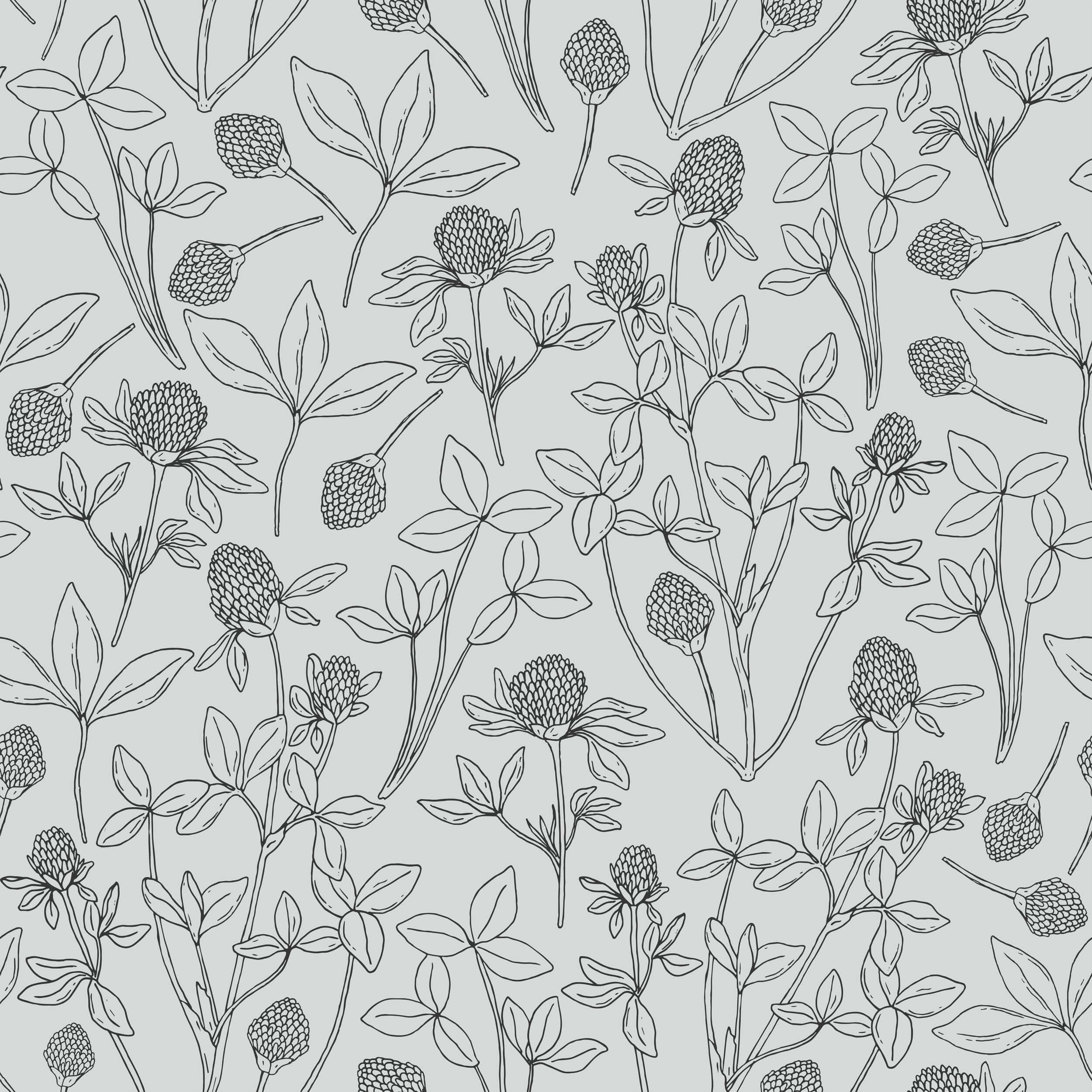 Clover