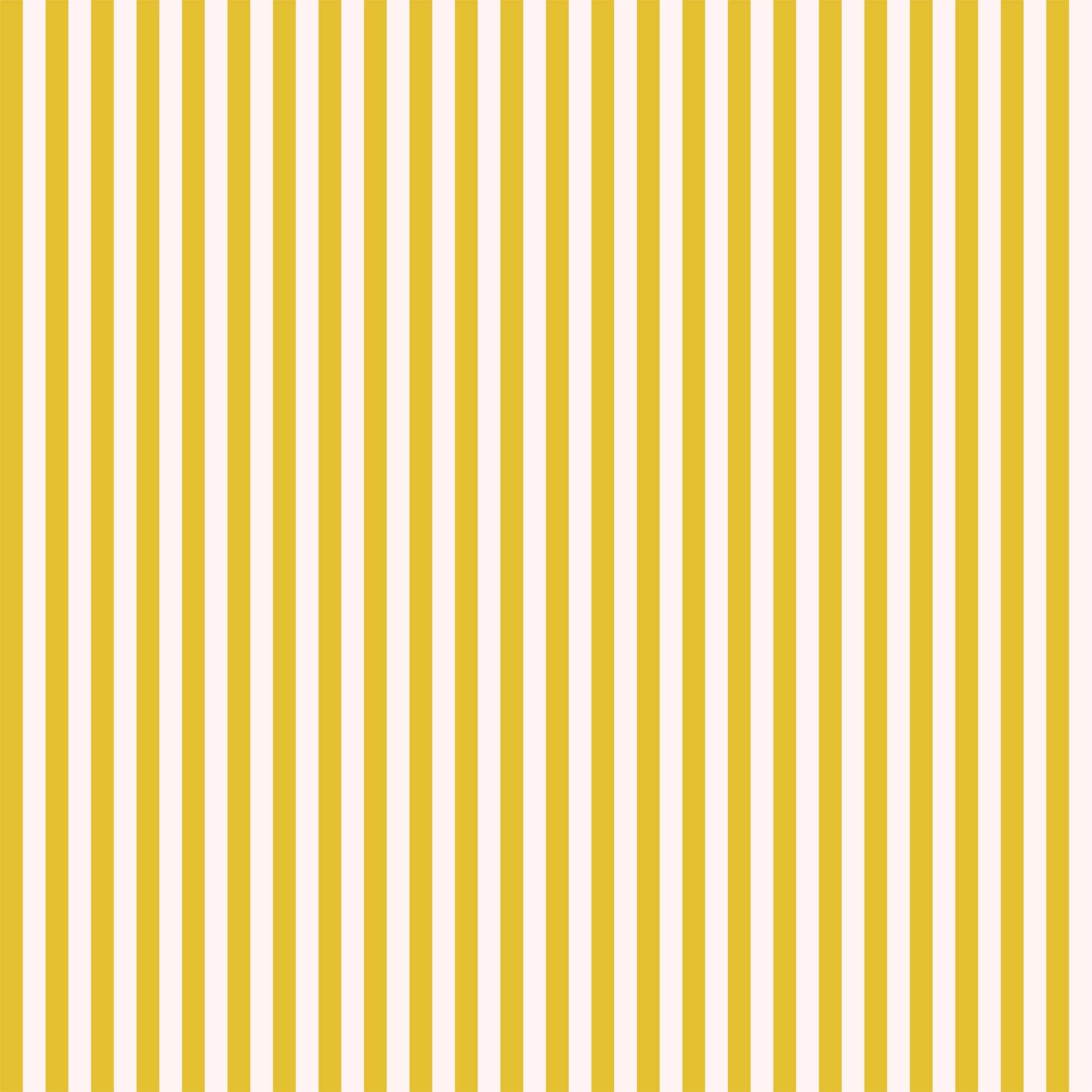 Candy Stripe