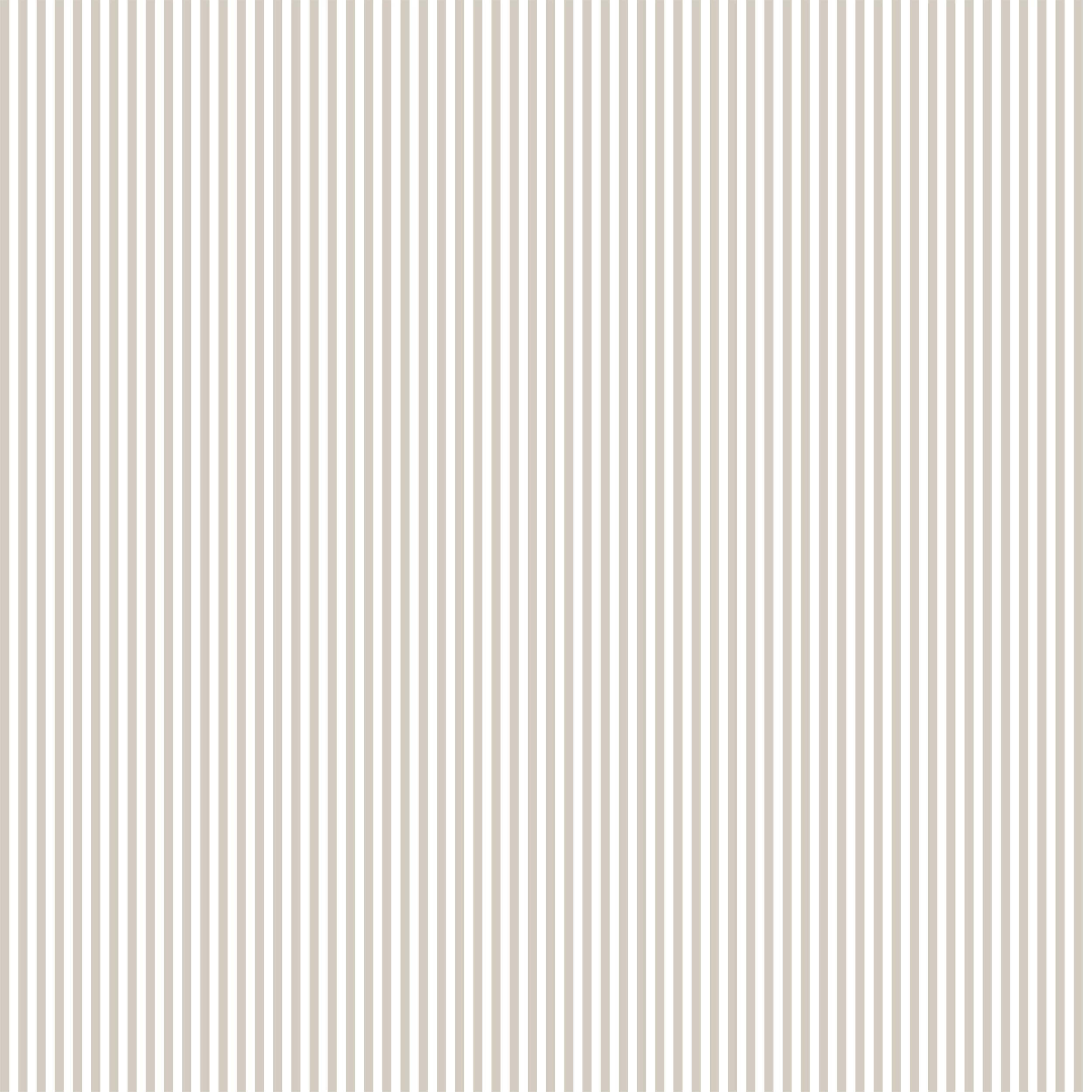 Pencil Stripe