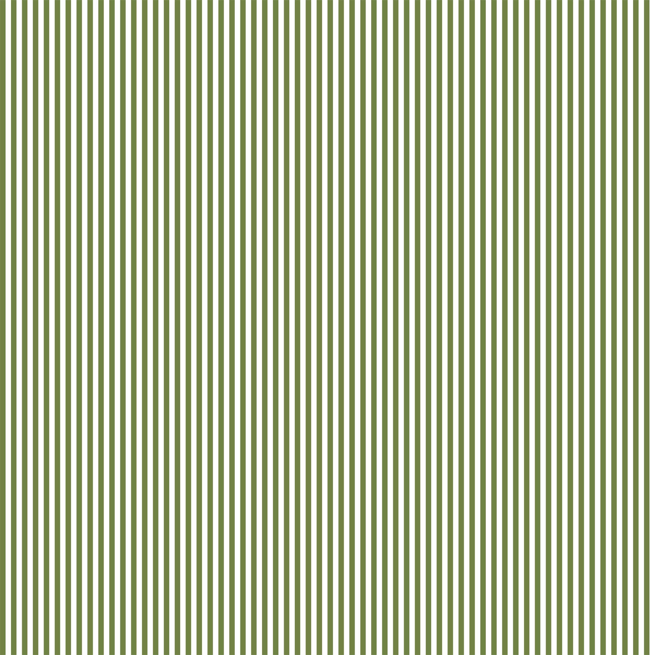 Pencil Stripe