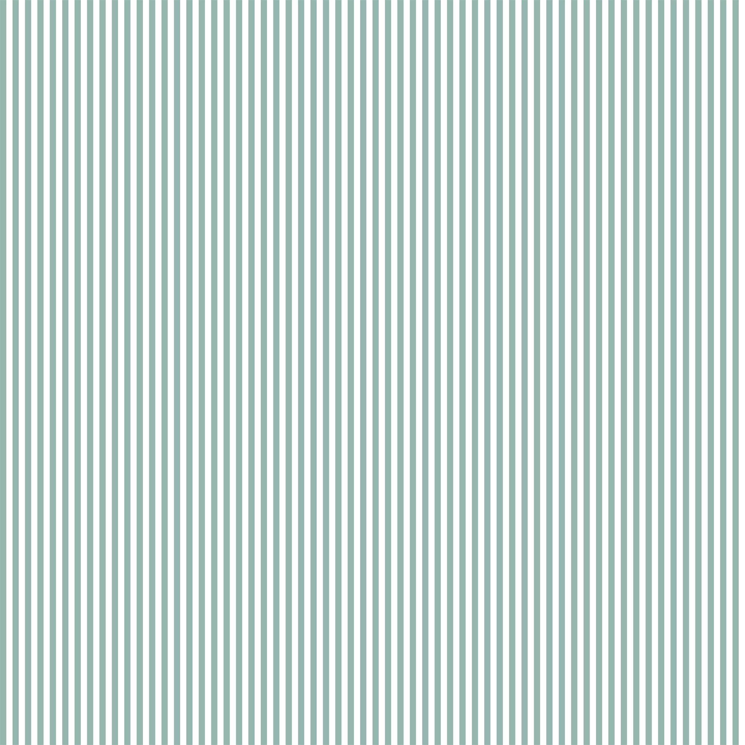 Pencil Stripe