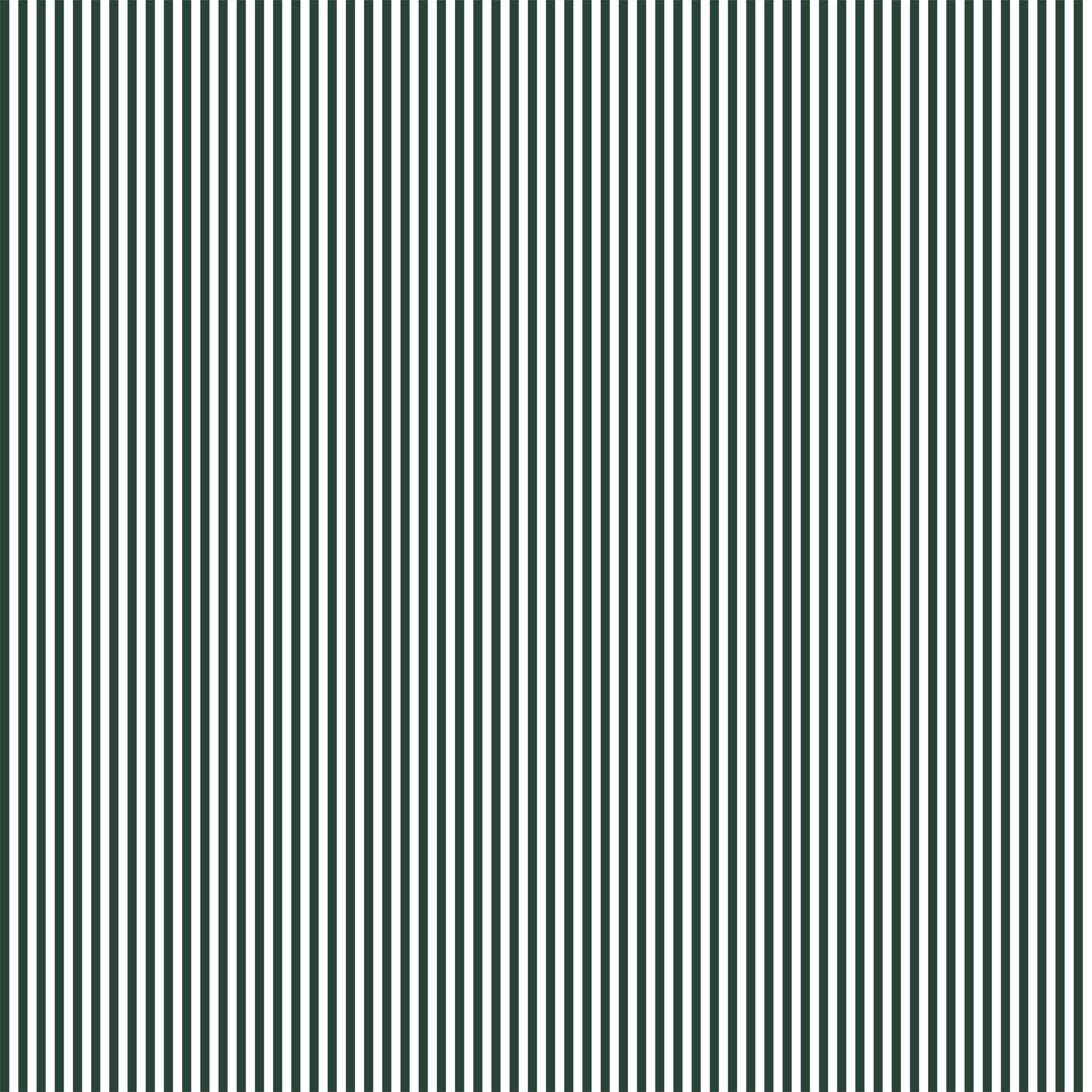Pencil Stripe