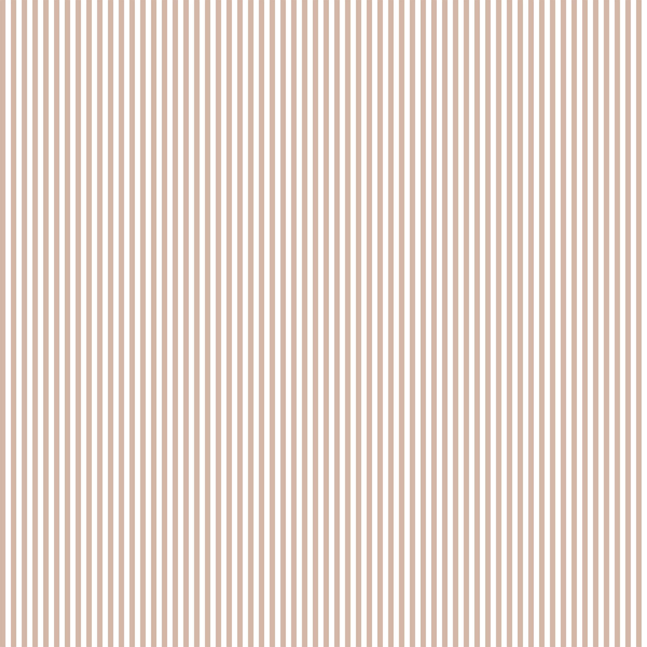 Pencil Stripe