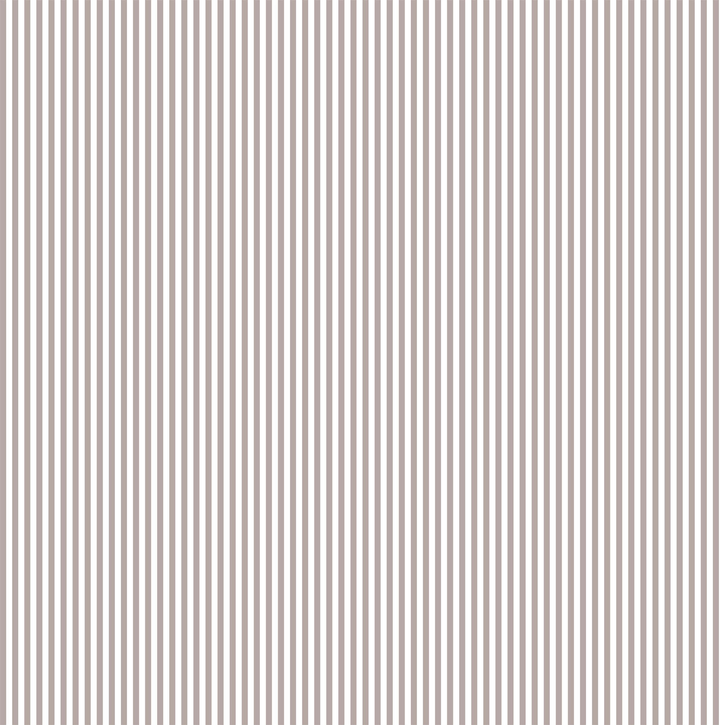 Pencil Stripe