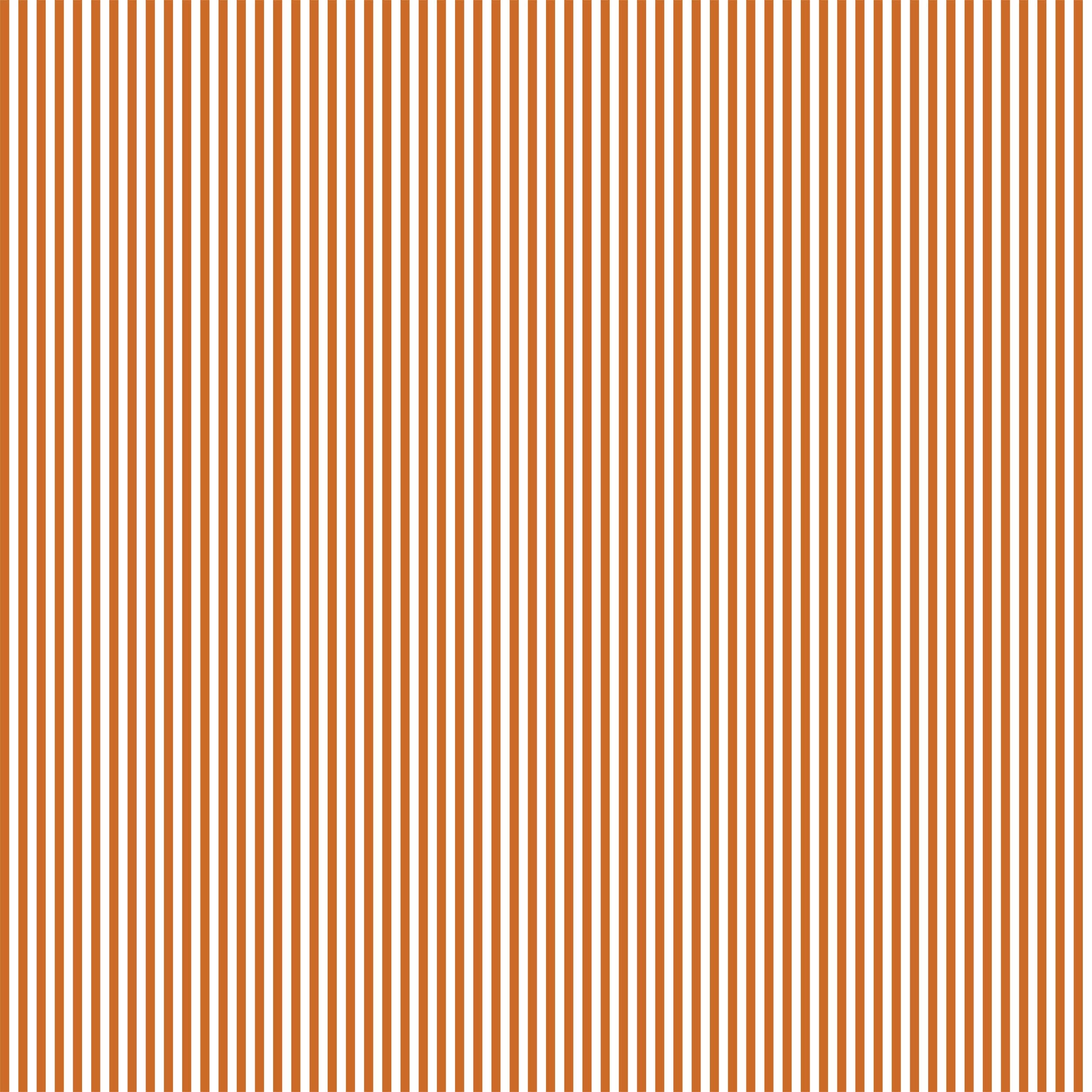 Pencil Stripe
