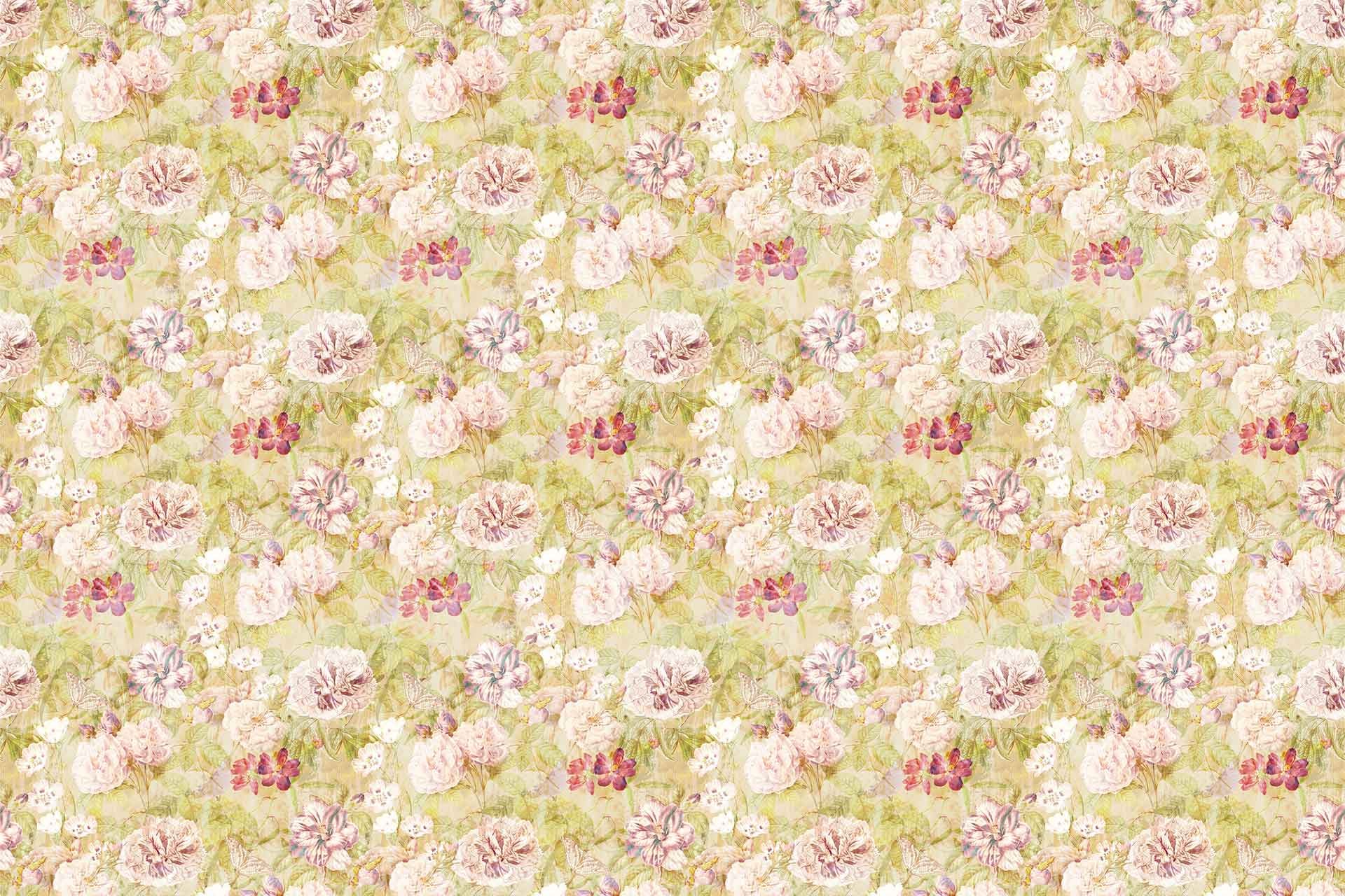 Citron Spring