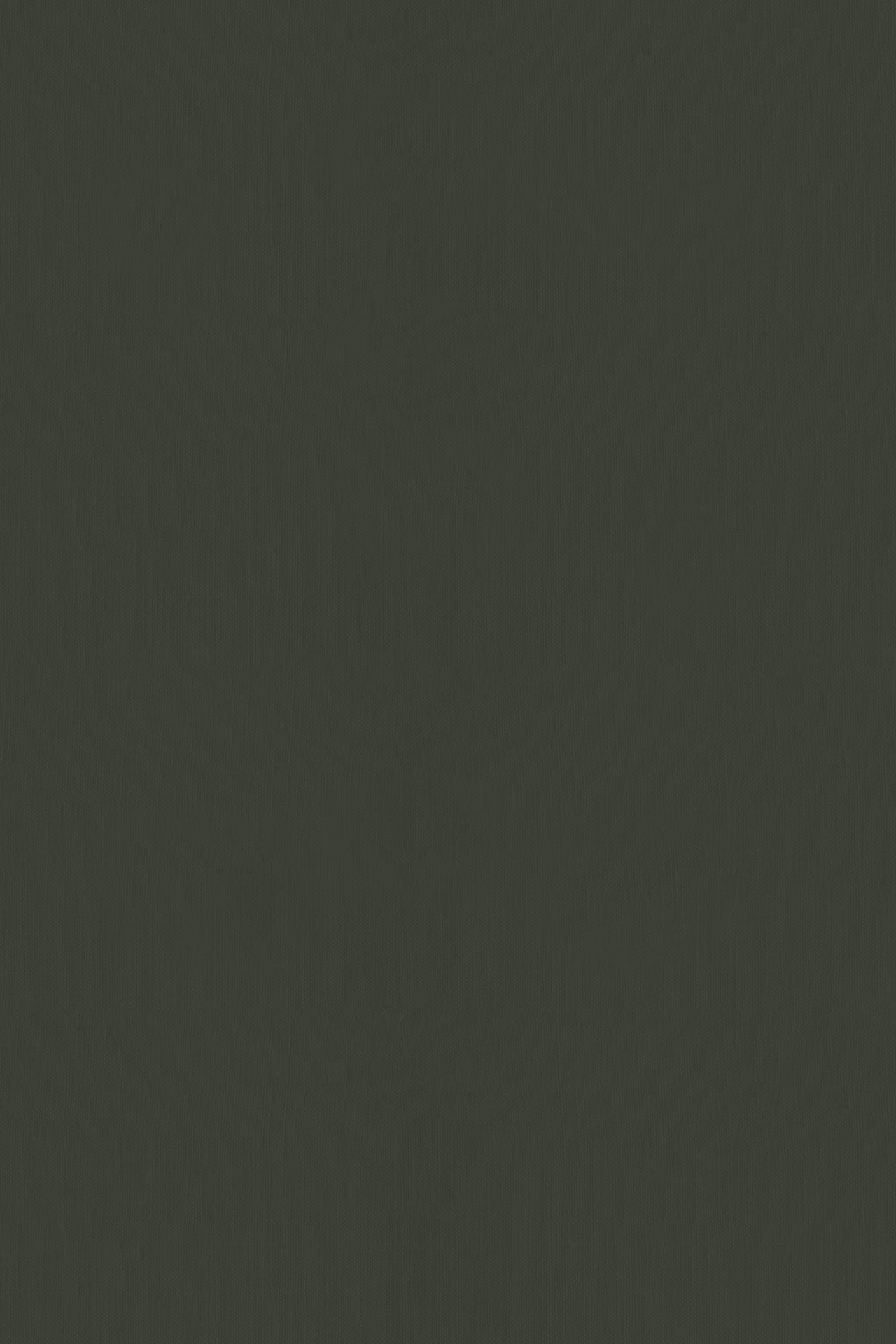 Ripe Olive