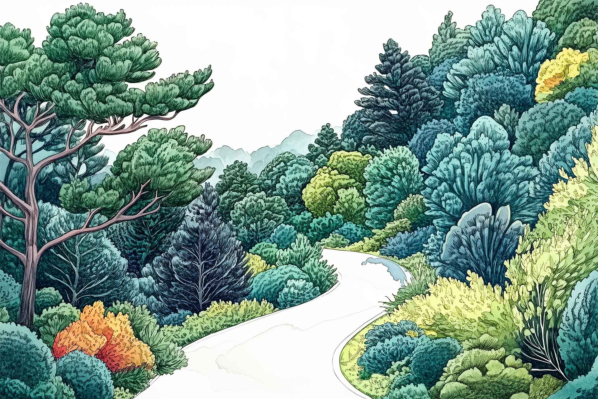 Up the road
