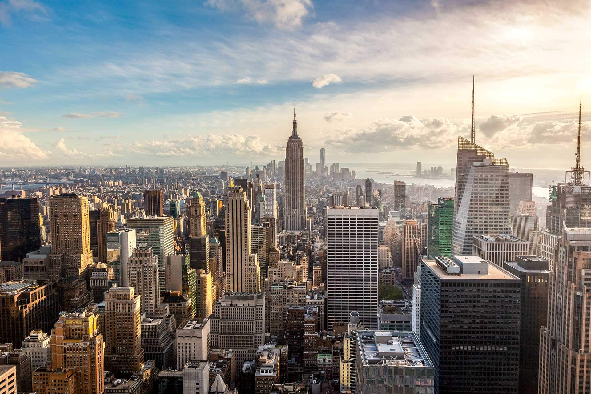 Concrete Jungle