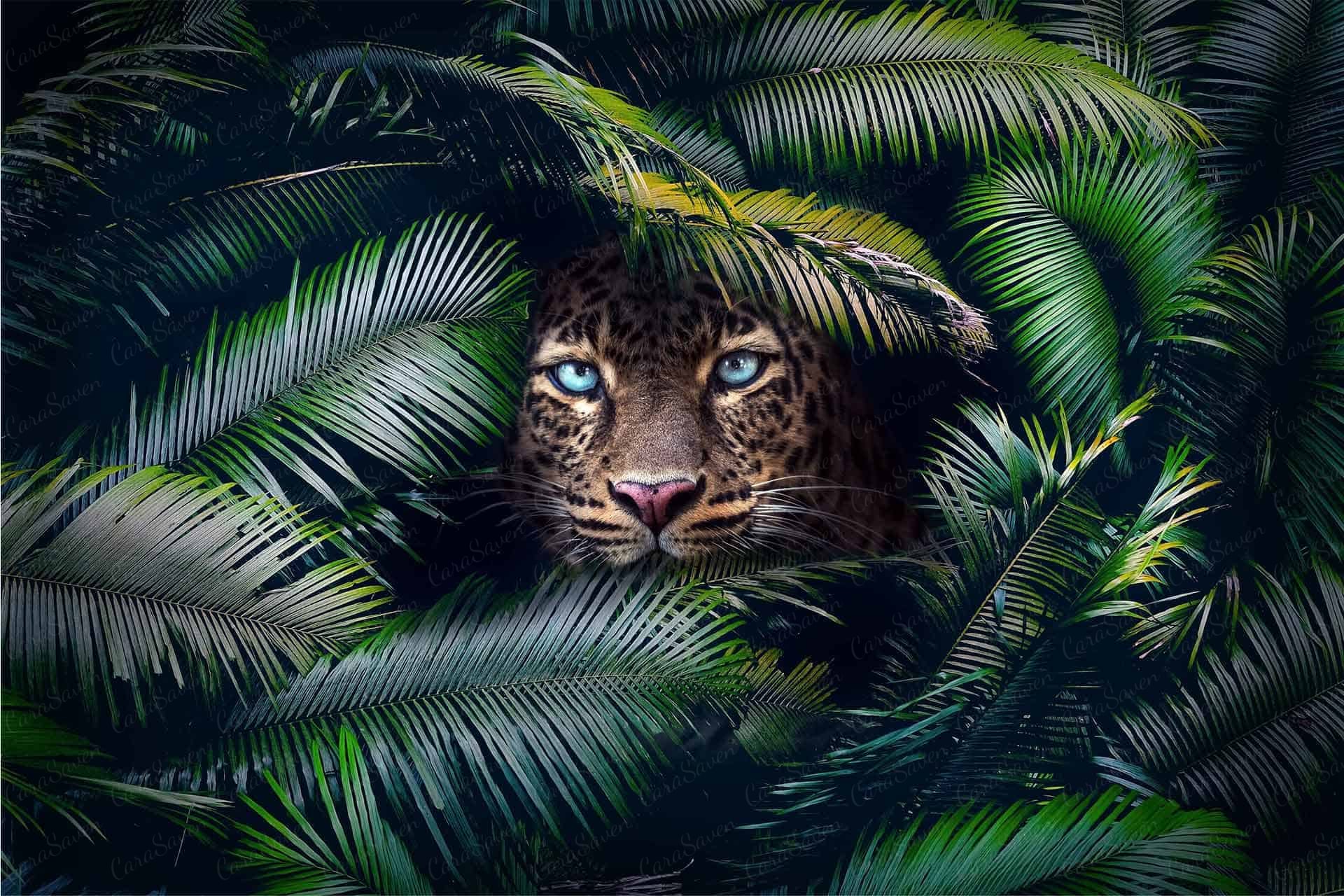 Eyes Of Blue
