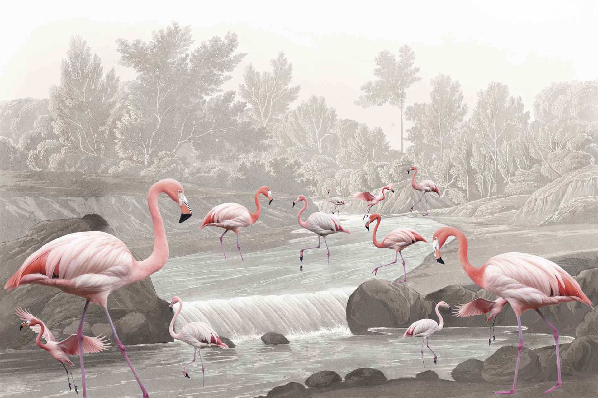 Flamingo Vlei