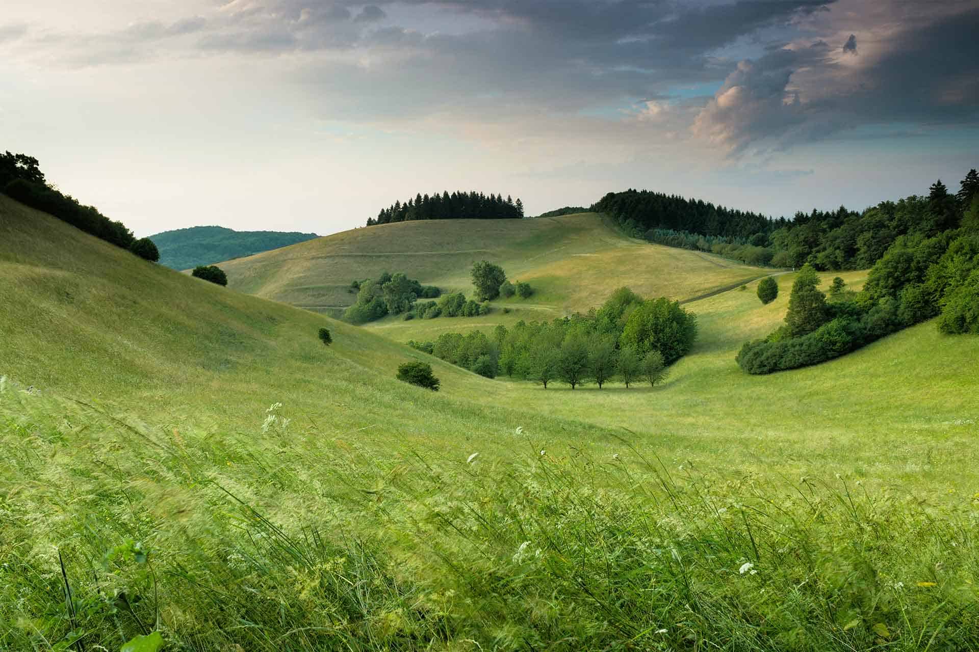 Hills are Alive