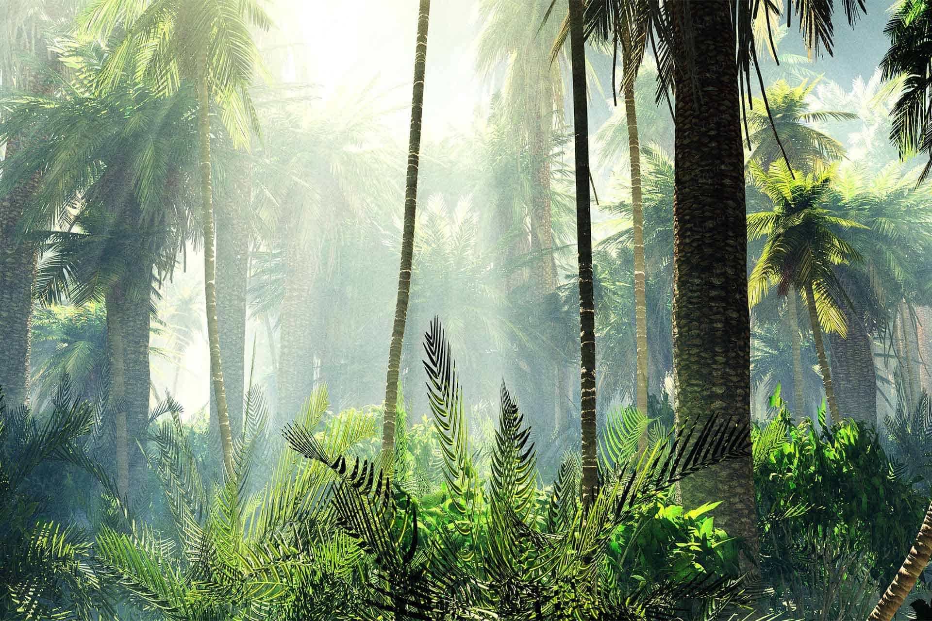 Island Paradise