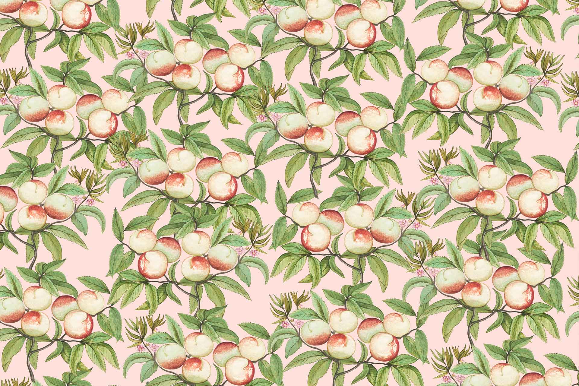 Just Peachy