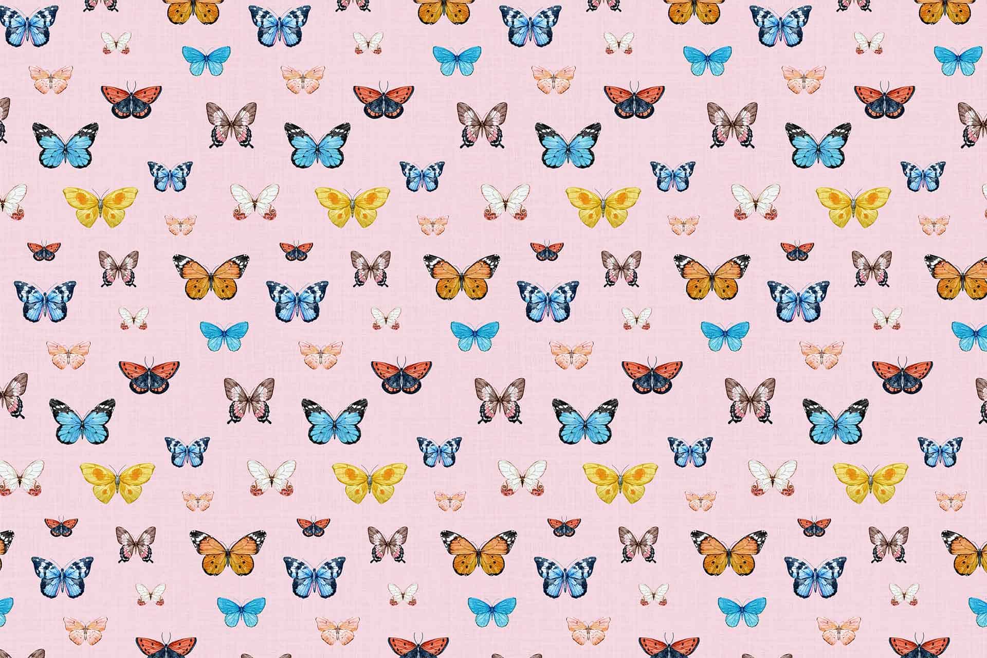 Madame B
