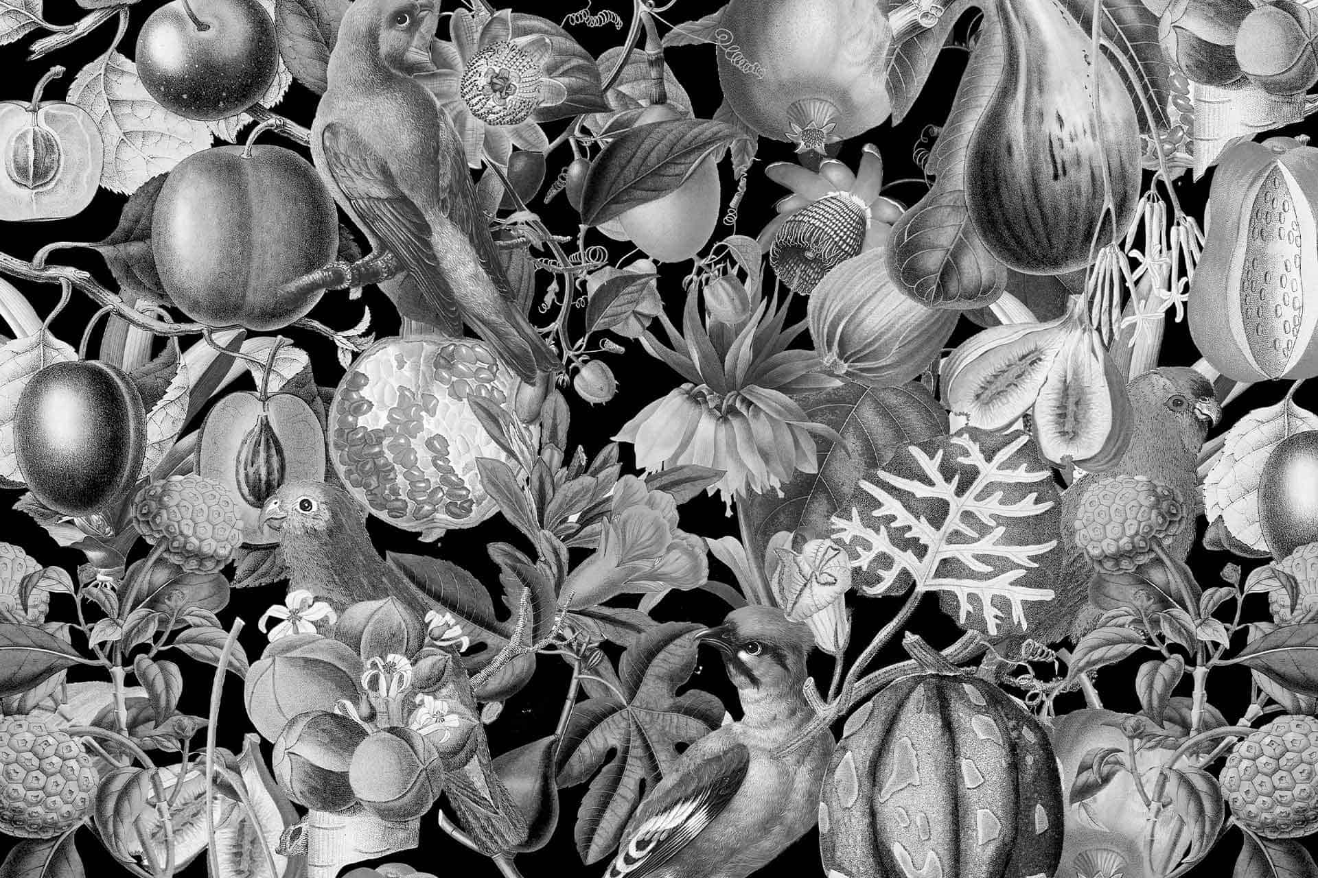 Parrots and Plums