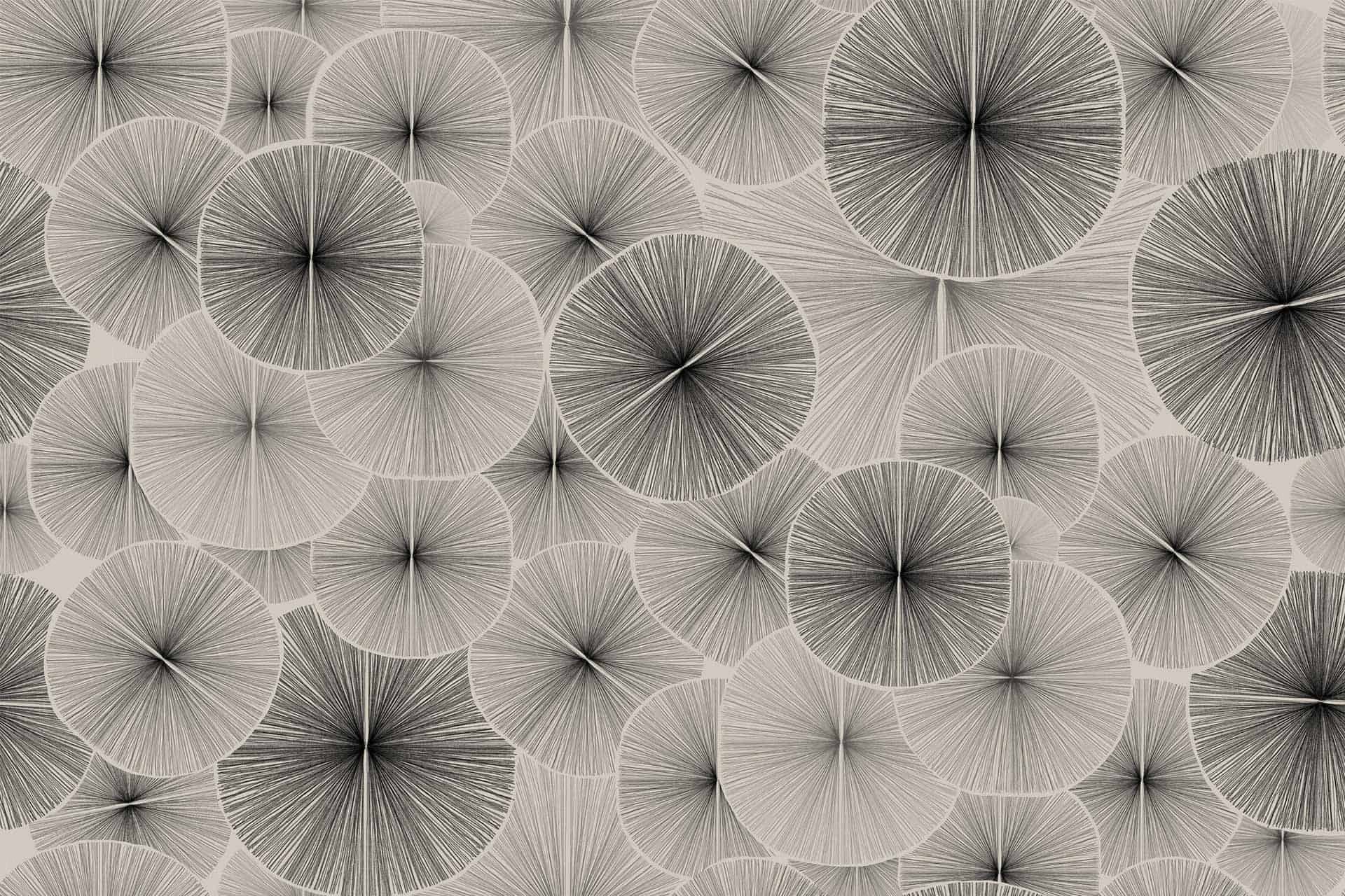 Pencil Circle