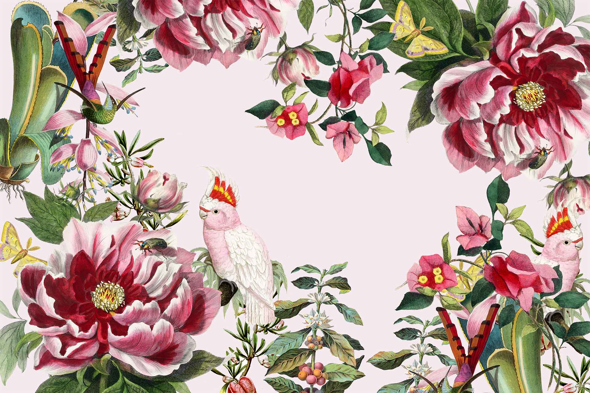 Peony and Friends