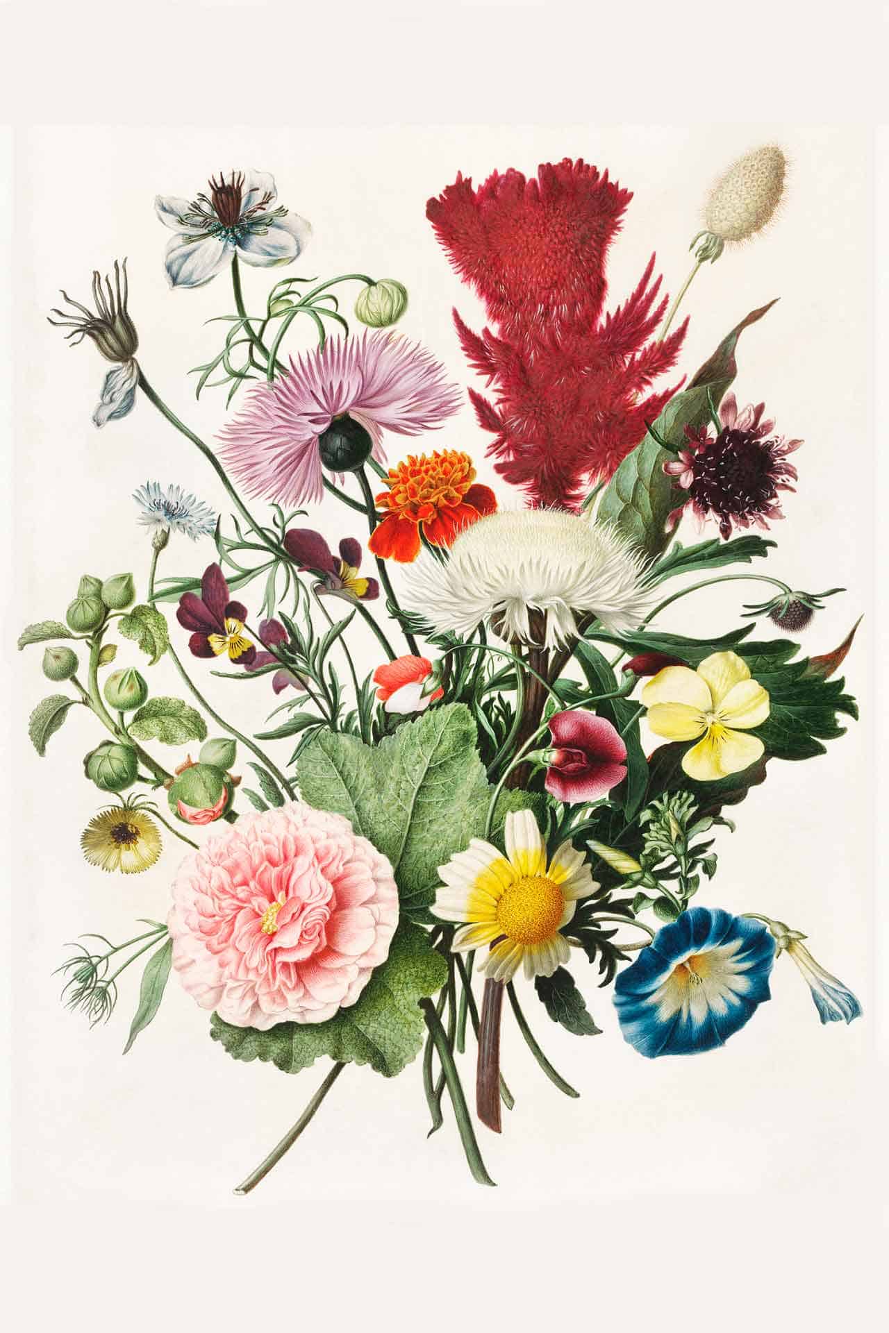Posy for my Love