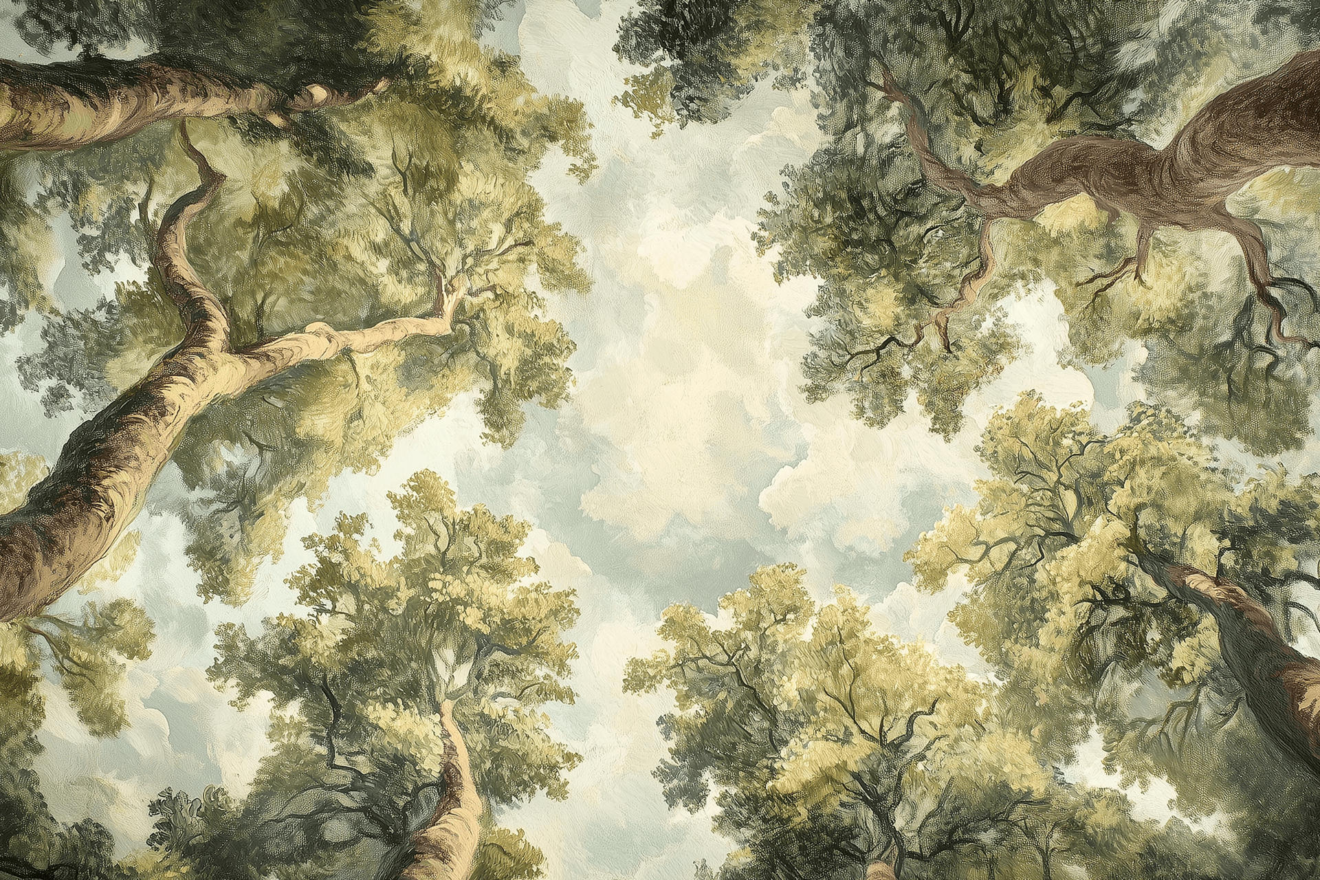 Treetops
