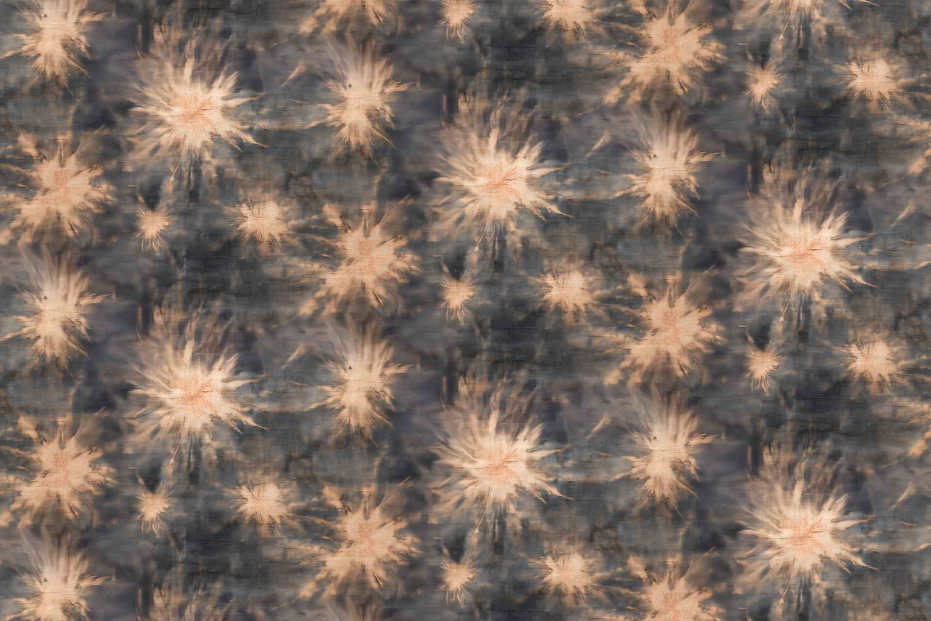 Startle