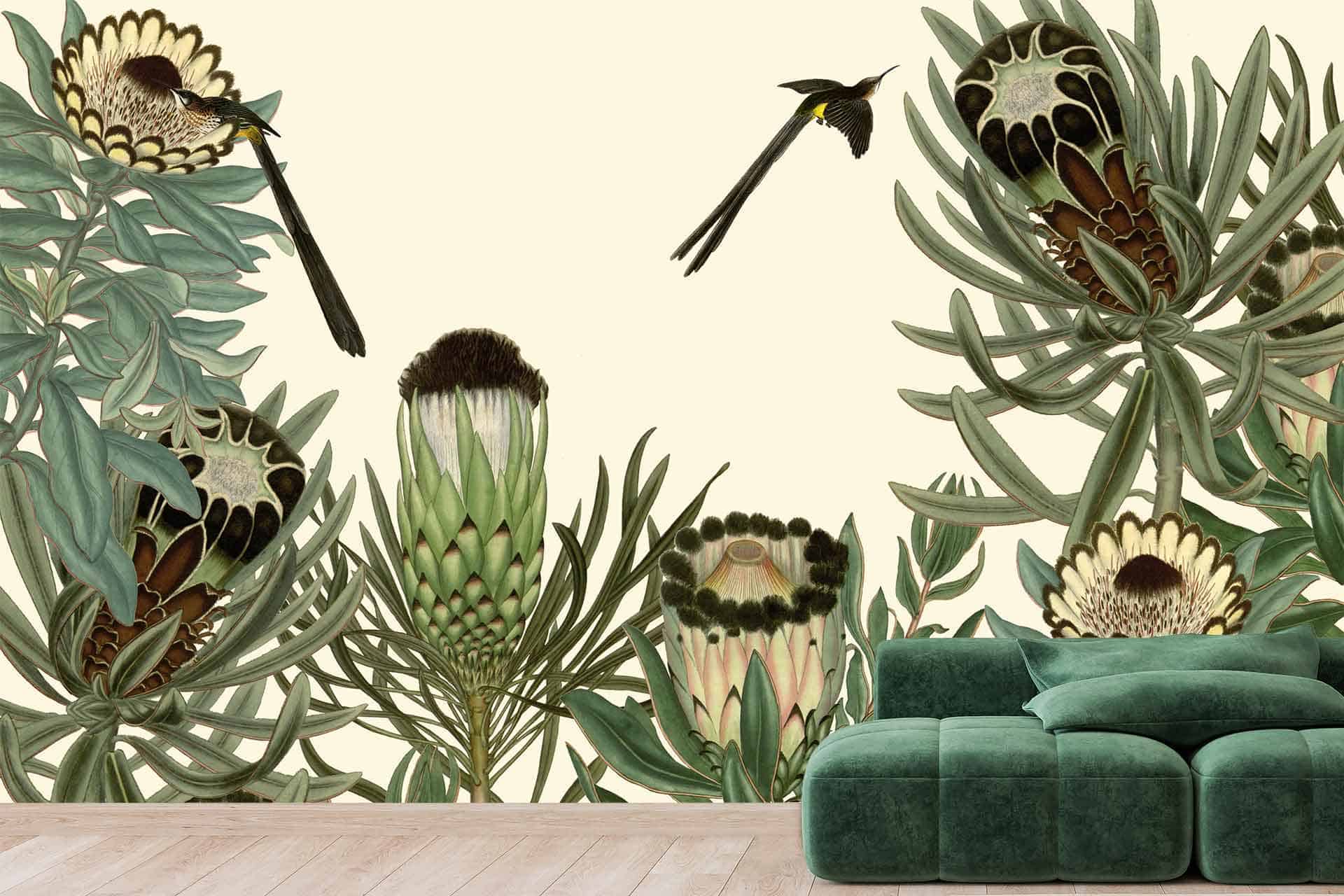 Sugarbird Protea