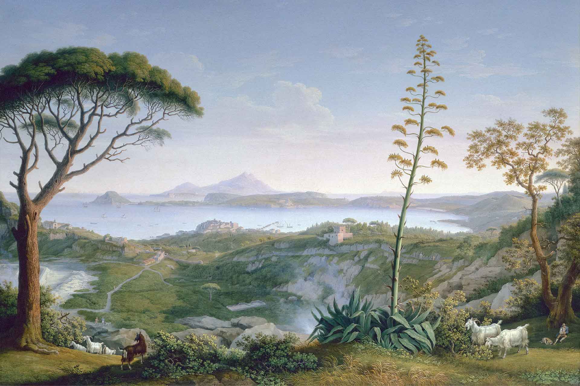 The Viewpoint