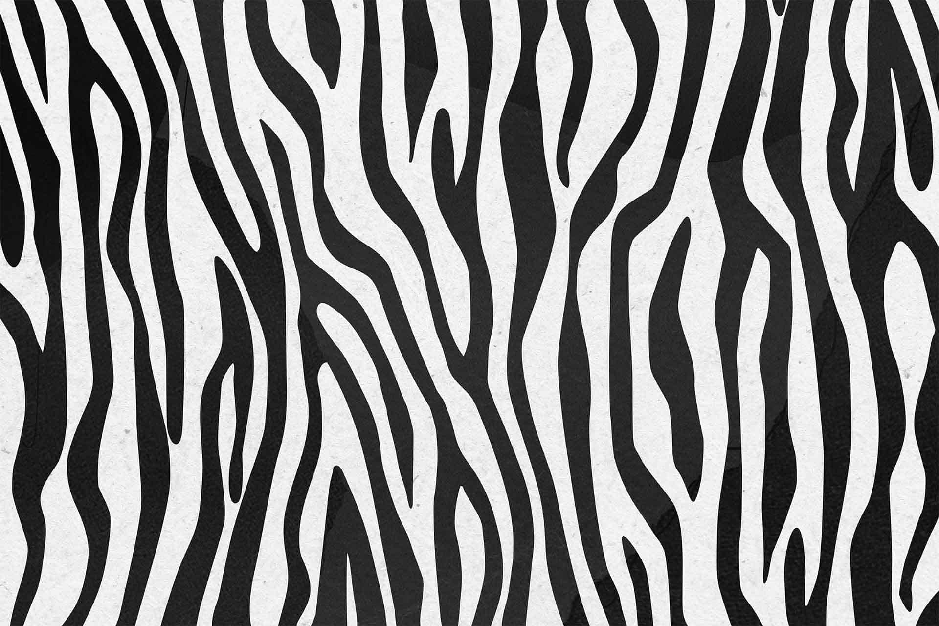Zebra Crossing