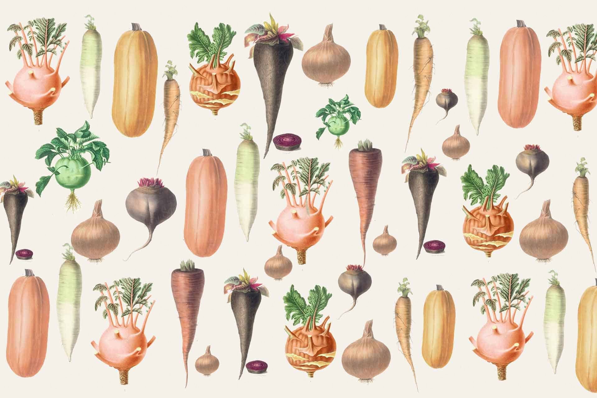 5 A Day
