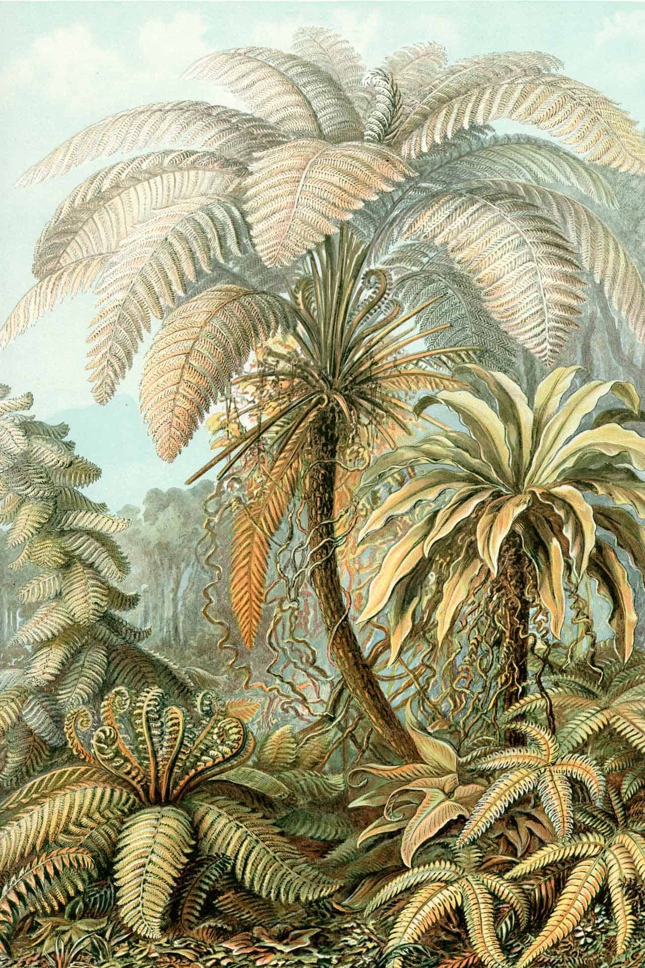 A Tropical Paradise