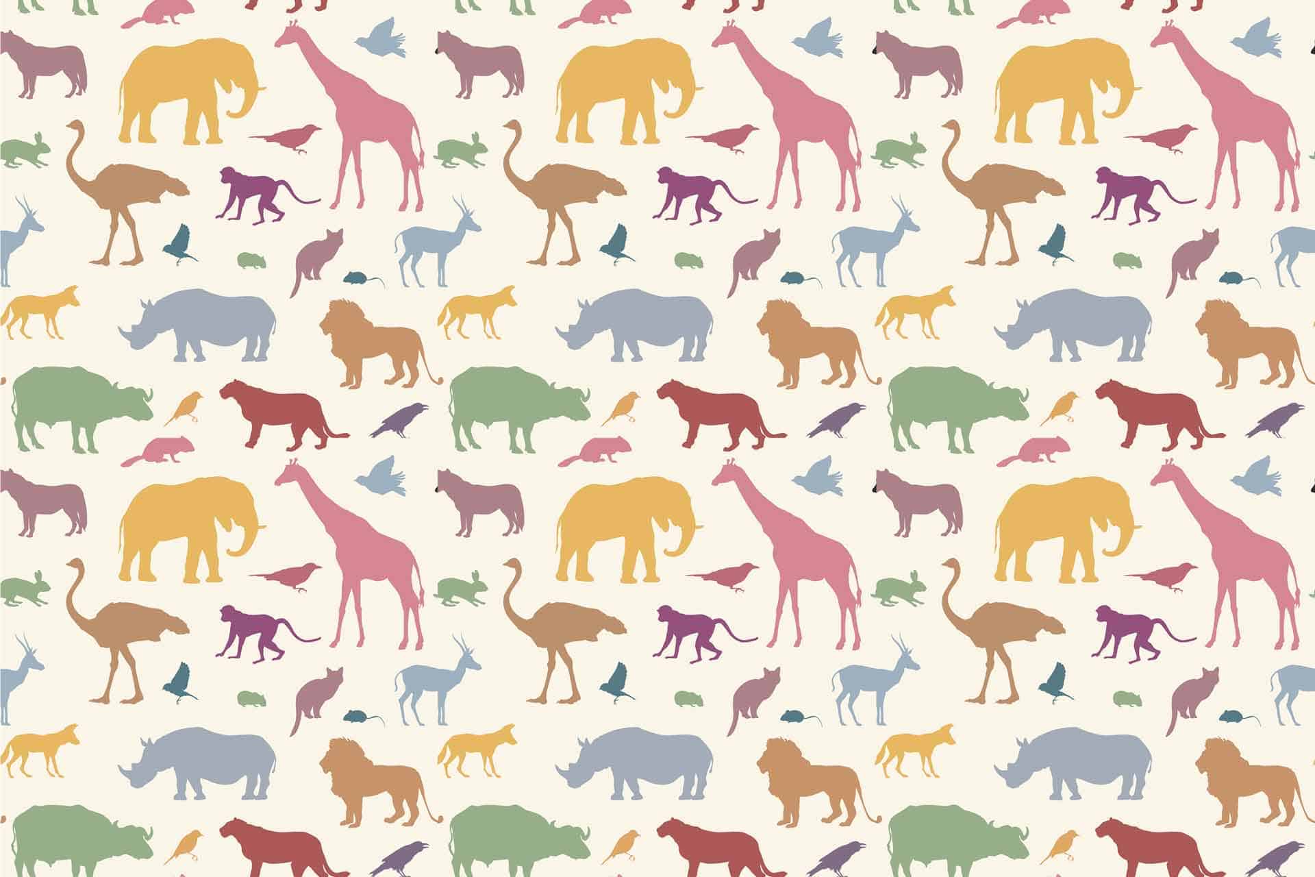 Animal Fun