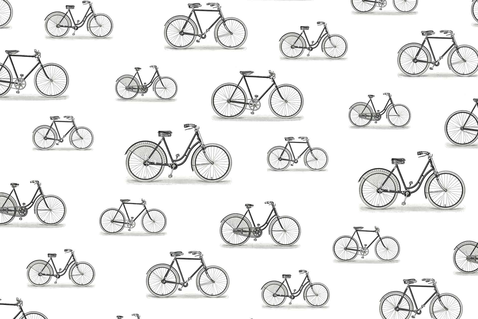 Bicycle Races