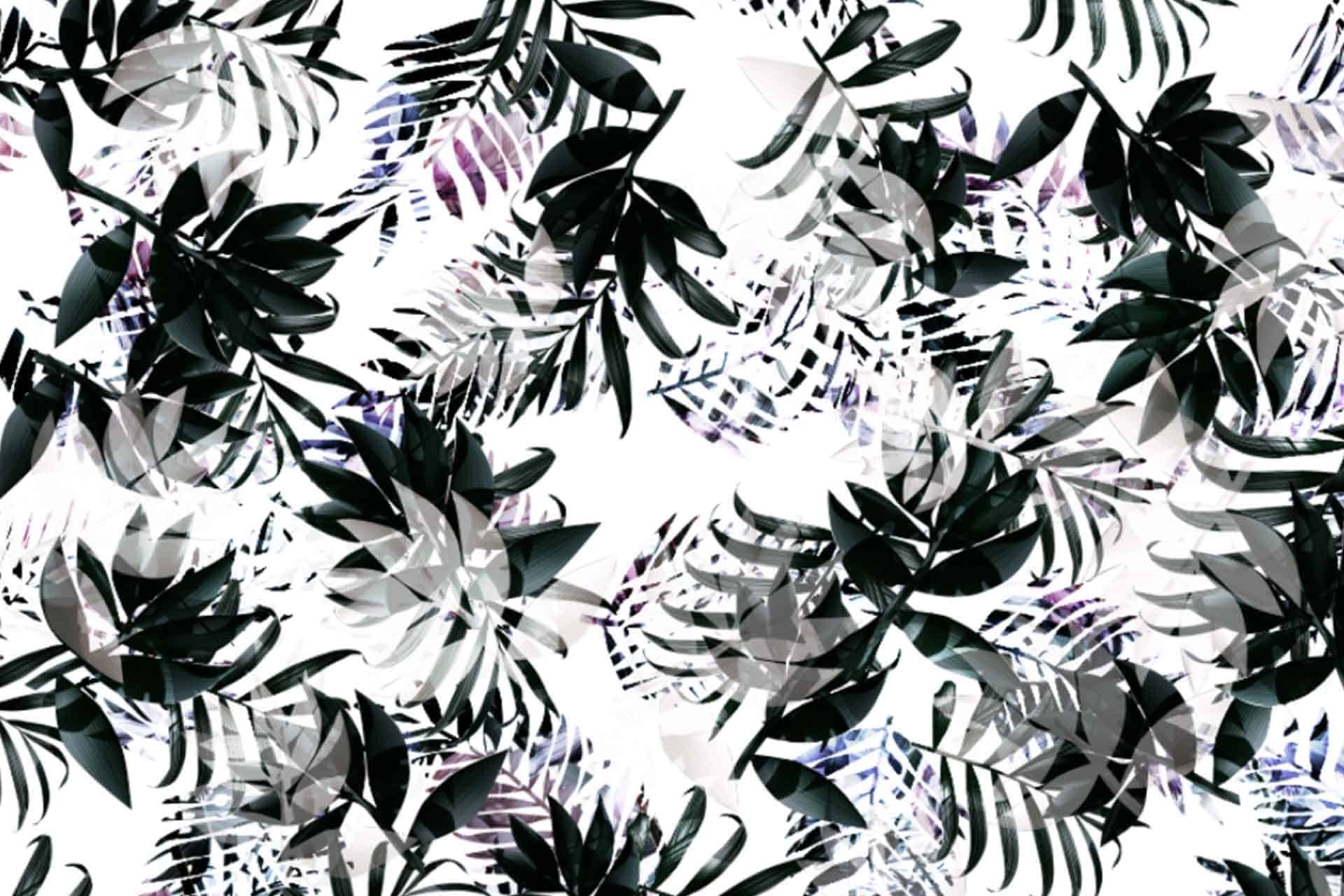 Clare Leaves