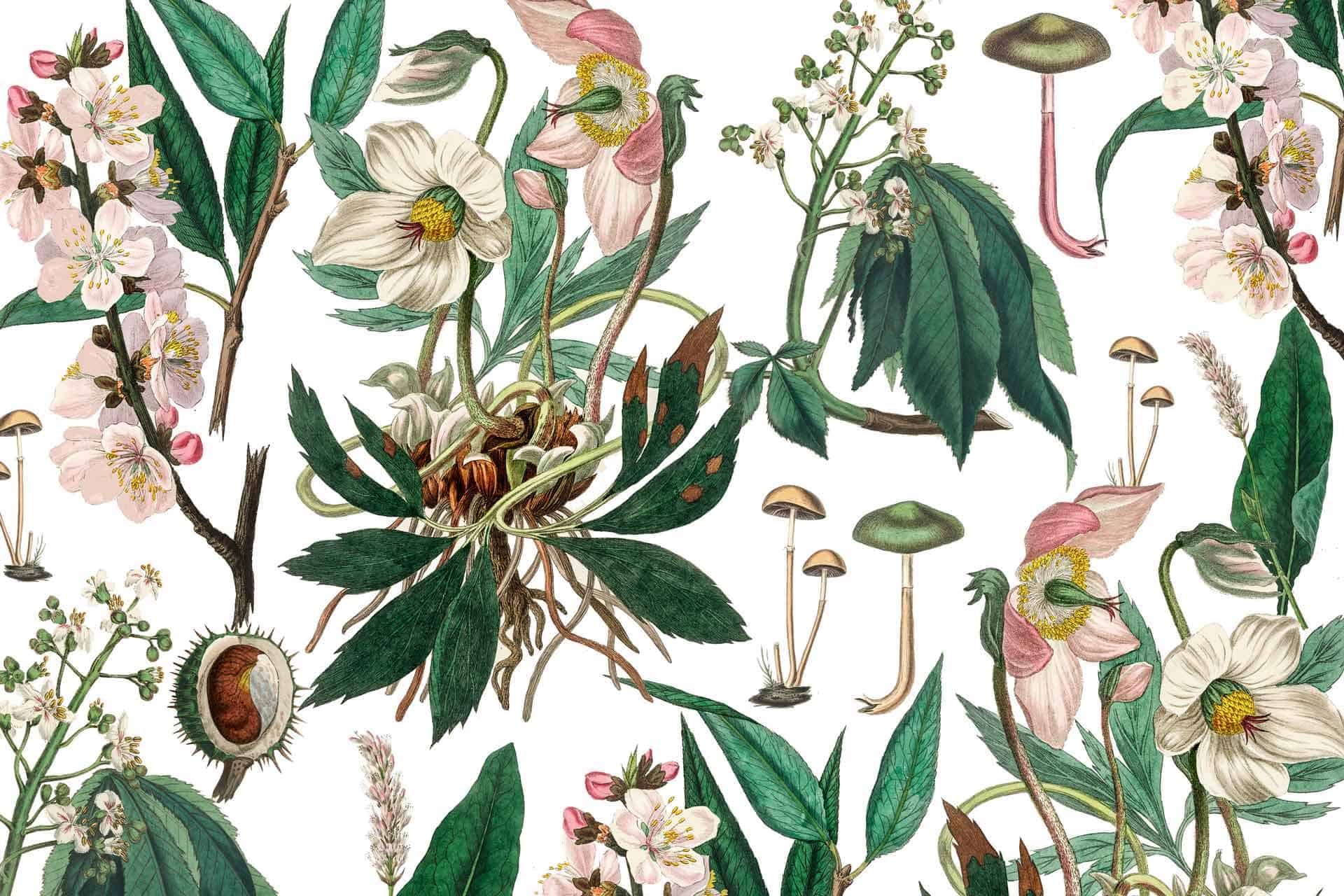 Fairies in the Garden