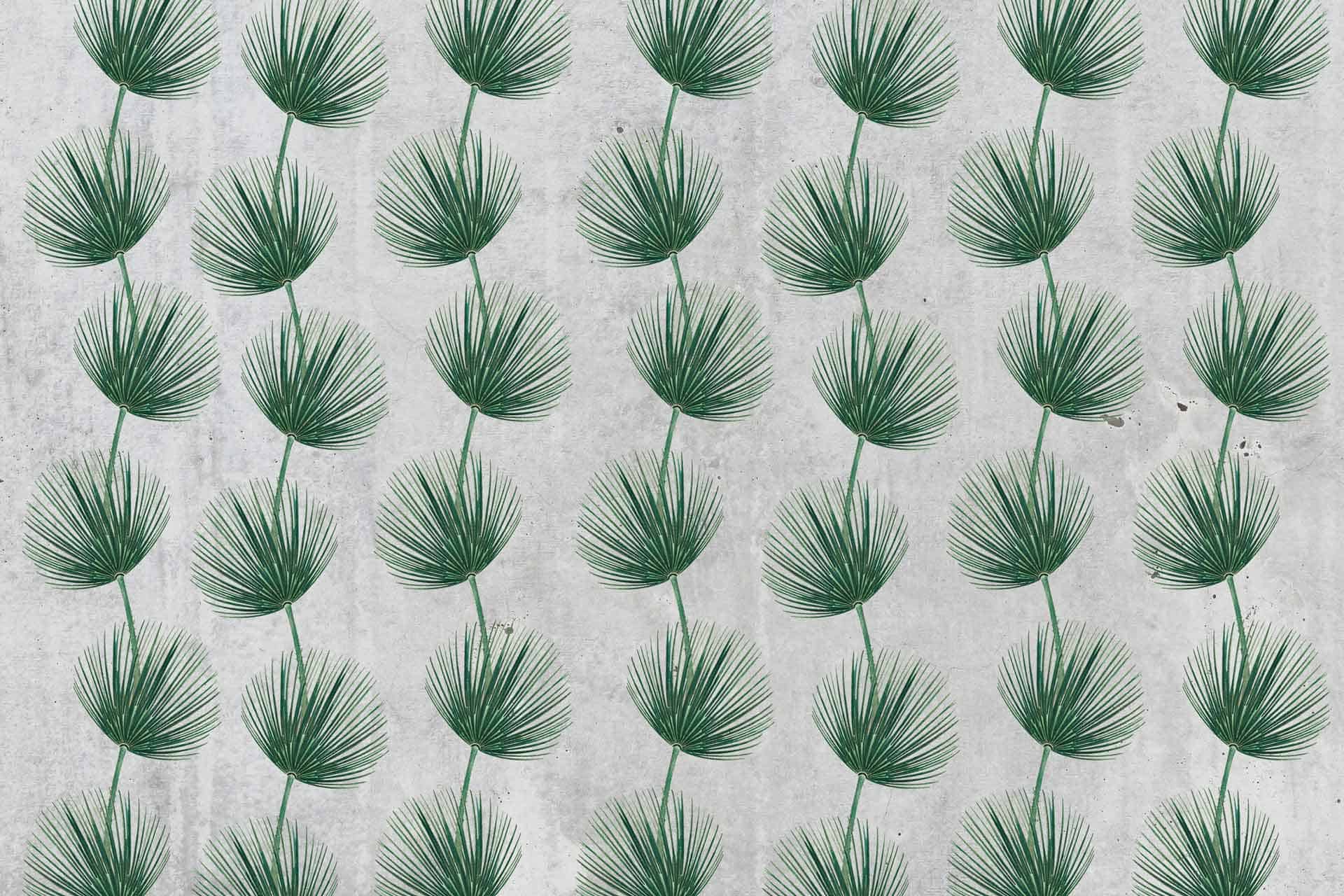 Fern Fest