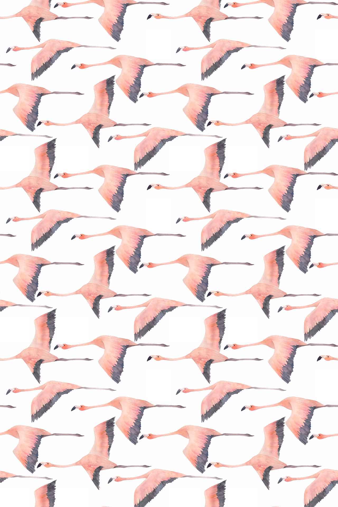 Flying Flamingo