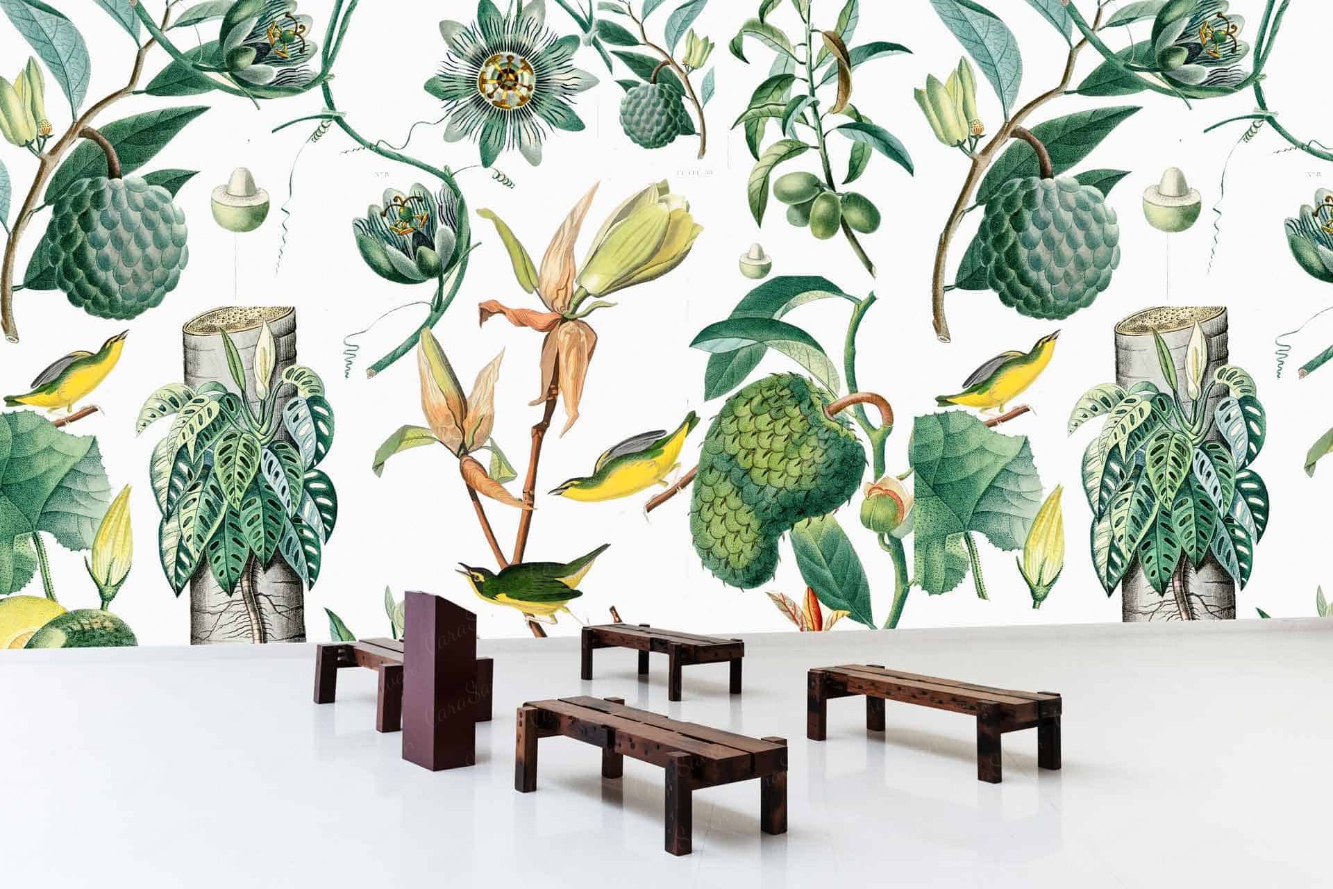 Formosa