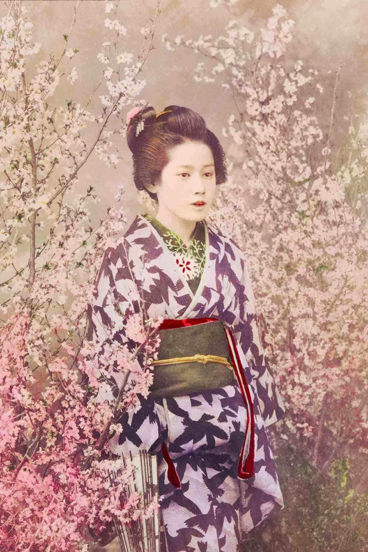 Geisha