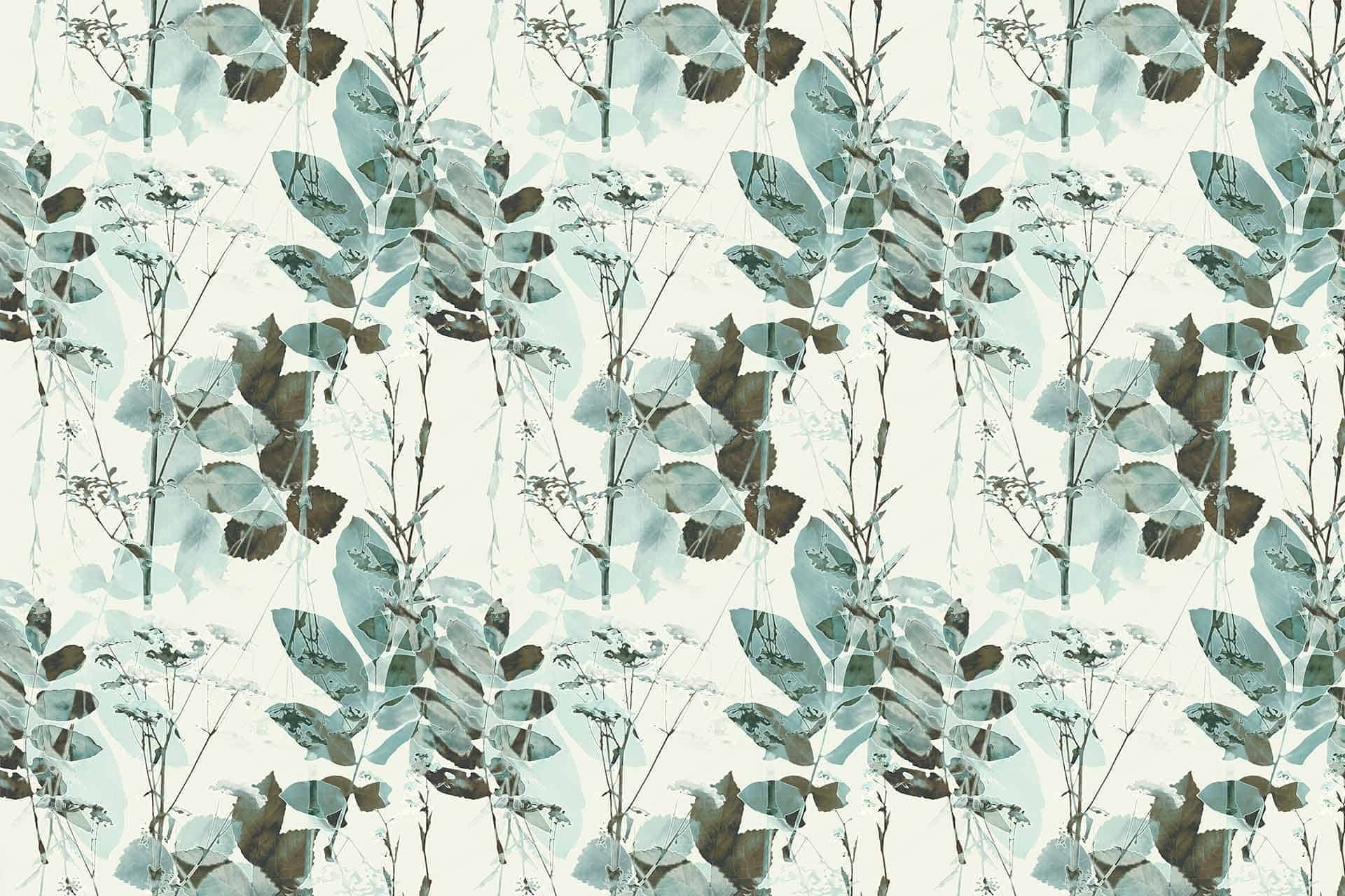 Ivy In My Pocket