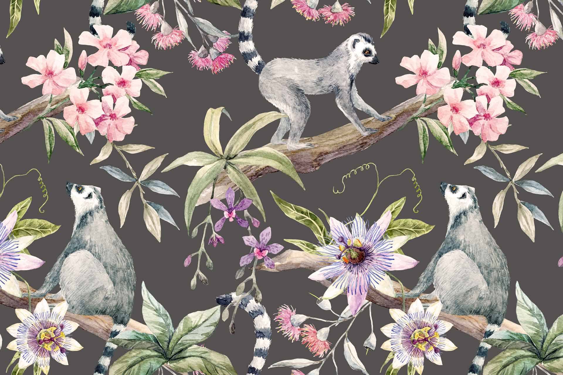 Lemurs and Hibiscus