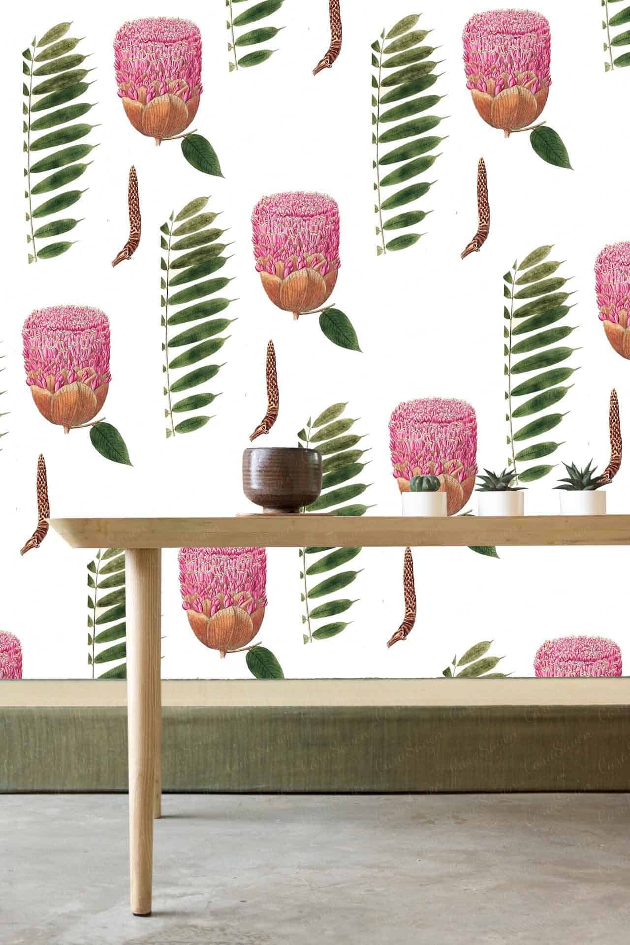 Protea Pods